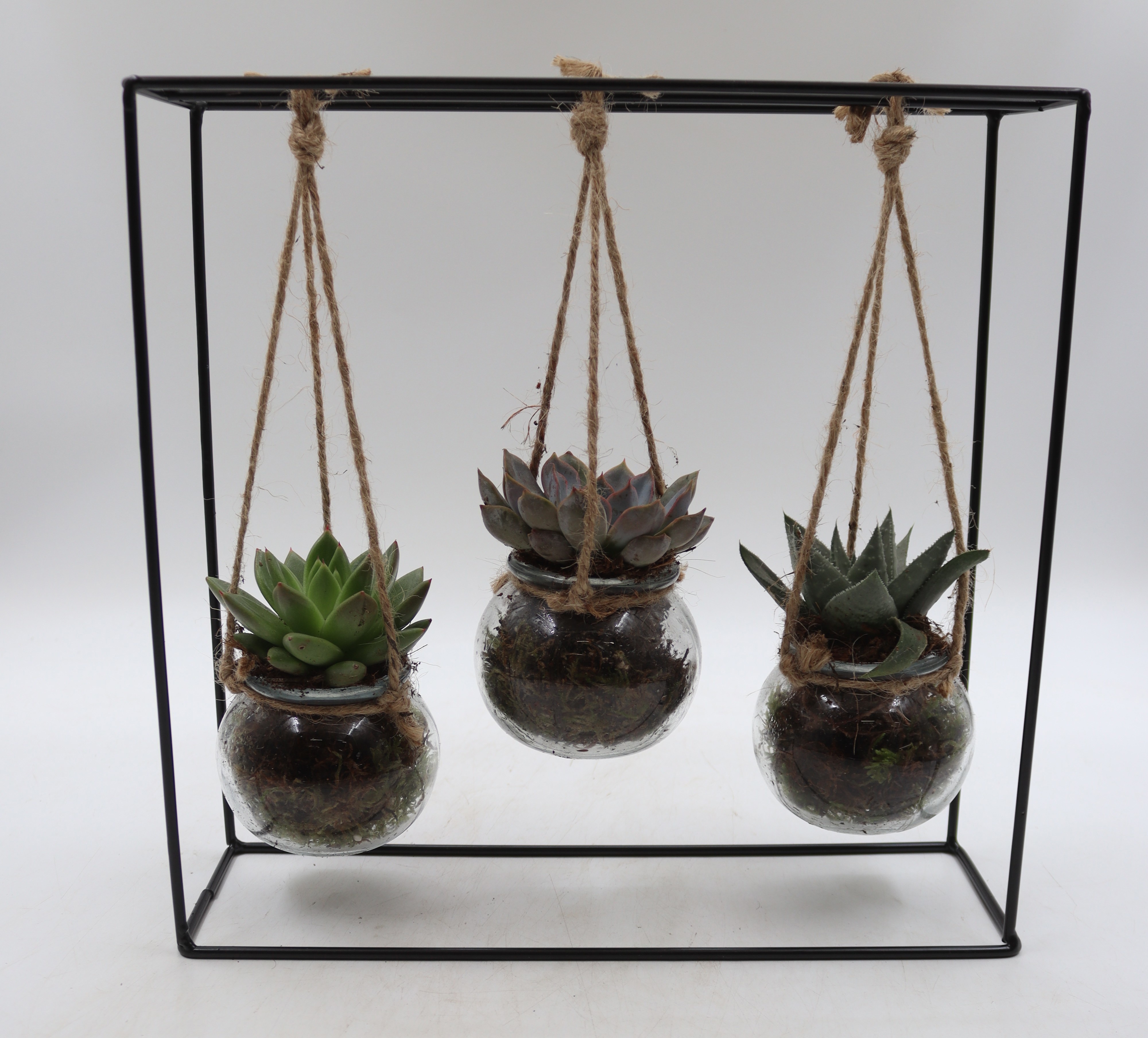 Rek zwart trio, D 30