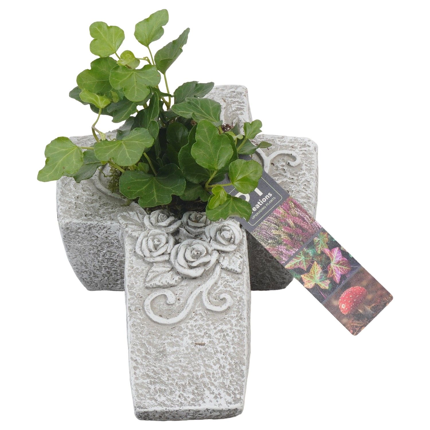 PTAH8617 Arrangement Allerheiligen in beton kruis, D 22 cm PTAH8617 Arrangement Allerheiligen in beton kruis, D 22 cm