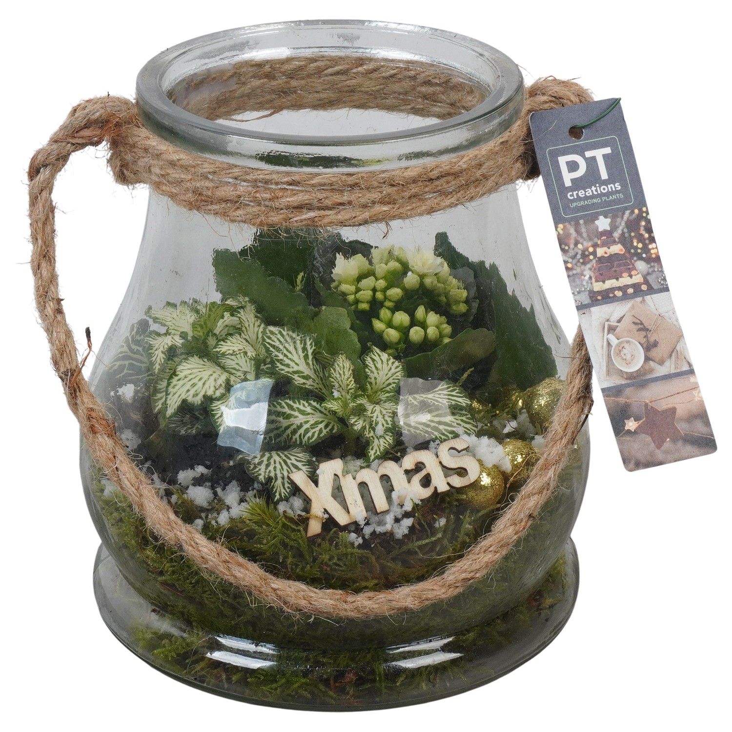 PTCHG5736 Arrangement Christmas Gold in glazen pot, D 16 cm