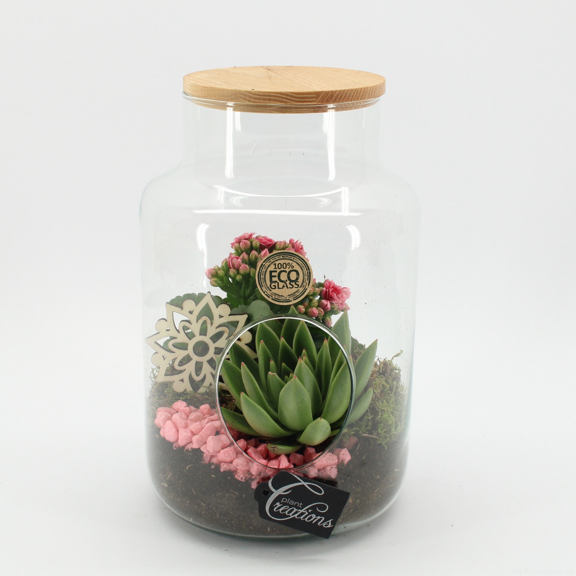 ESCR-2634RZ Essentials terrarium, D 19