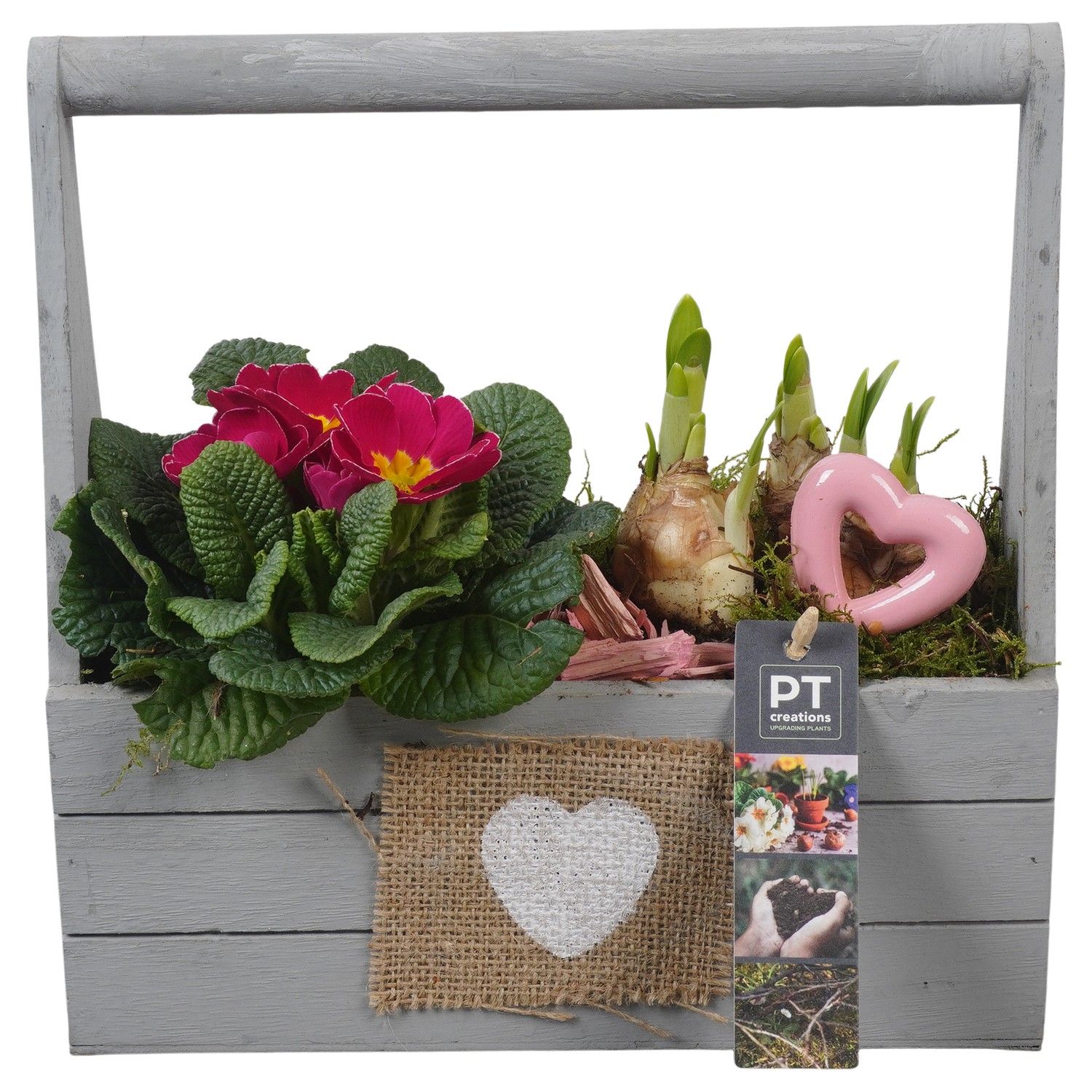 PTVO3620 Arrangement Valentine Outdoor in houten bak, D 25