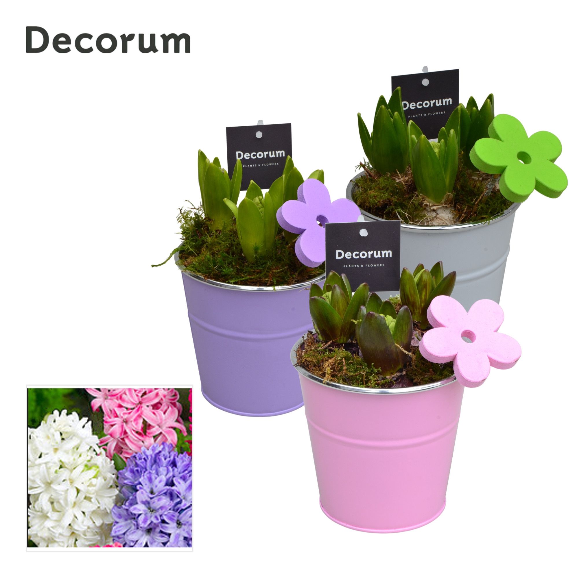 Hyacint Colourful Bucket HL16583 [LOVELY COLORS], D 13