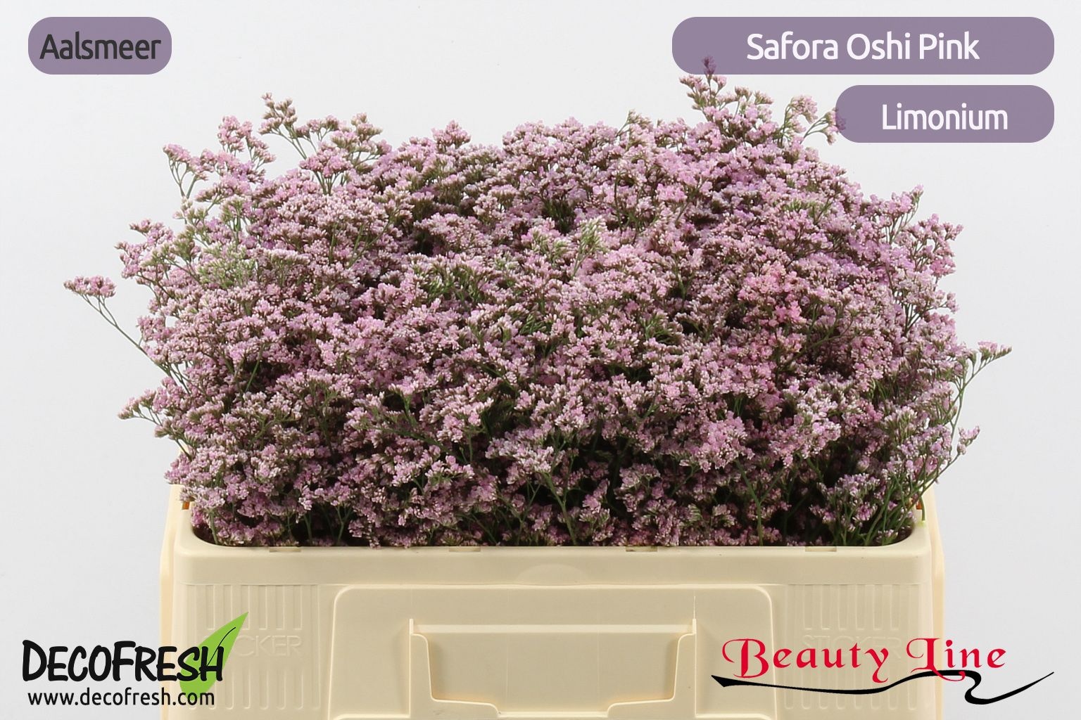 Лимониум Сафора Оши Пинк 50, шт.