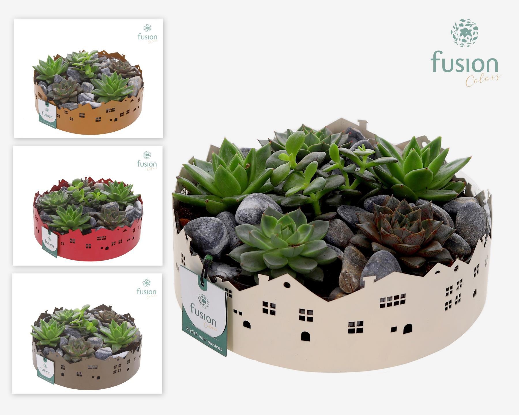 Zinken schaal Huisjes Large met Succulent, D 23 cm