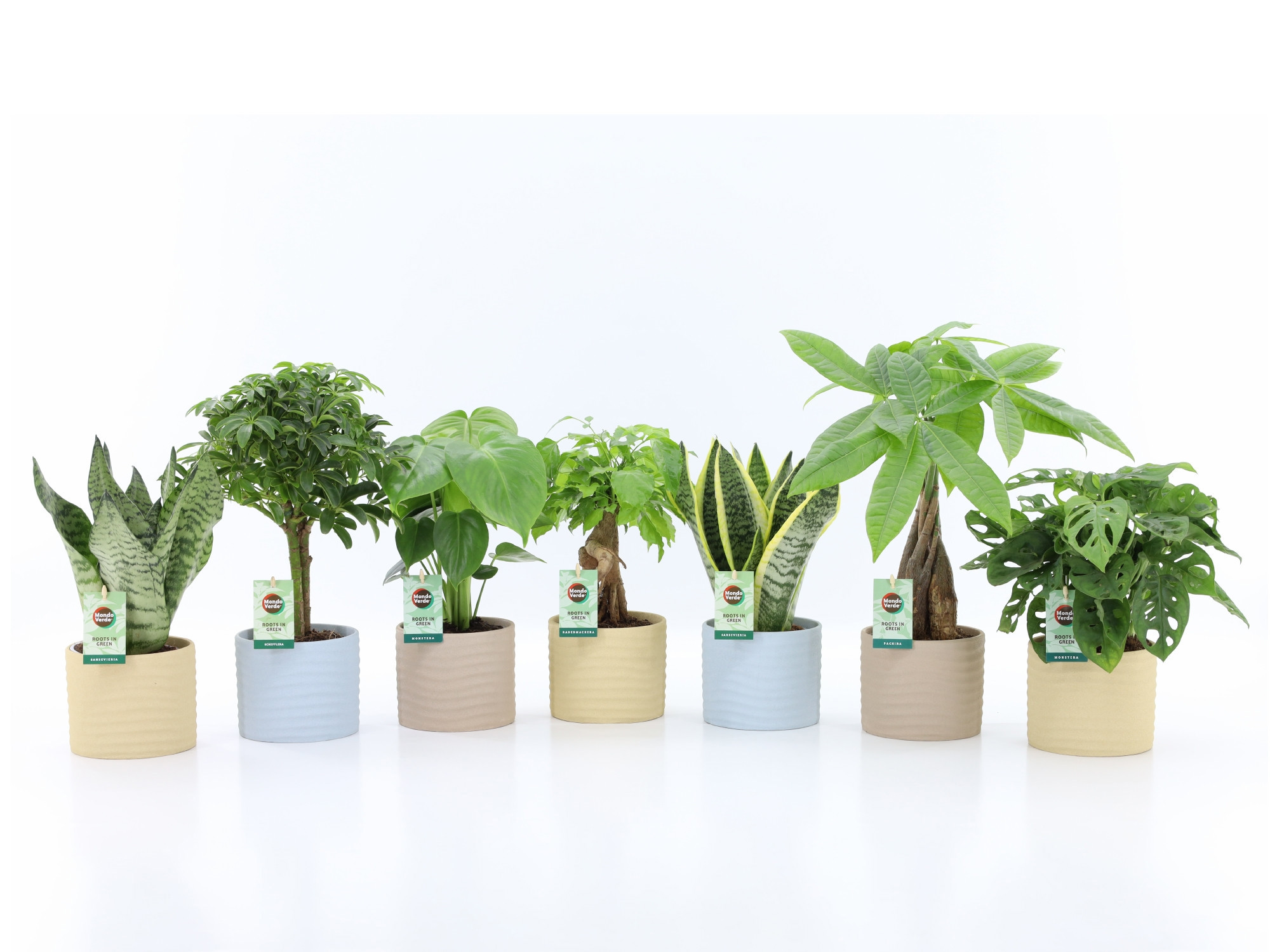 Easy to Care Mix in Ibiza keramiek, D 13