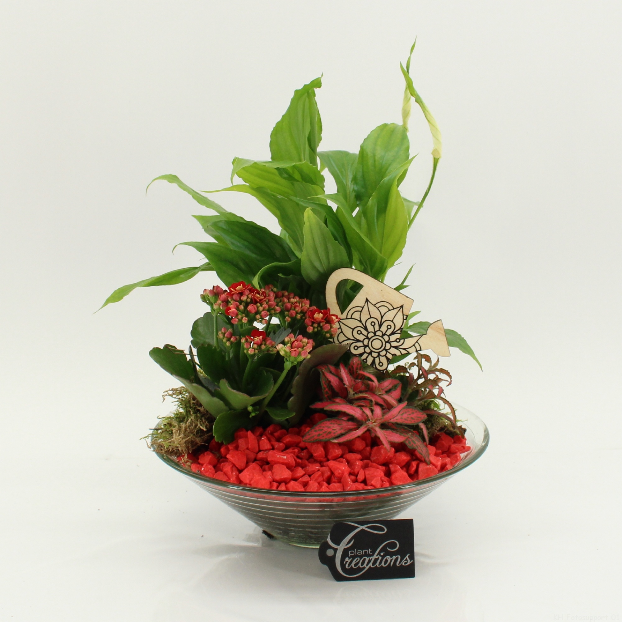 FDCR-2602R Basic Fundamentals, D 25