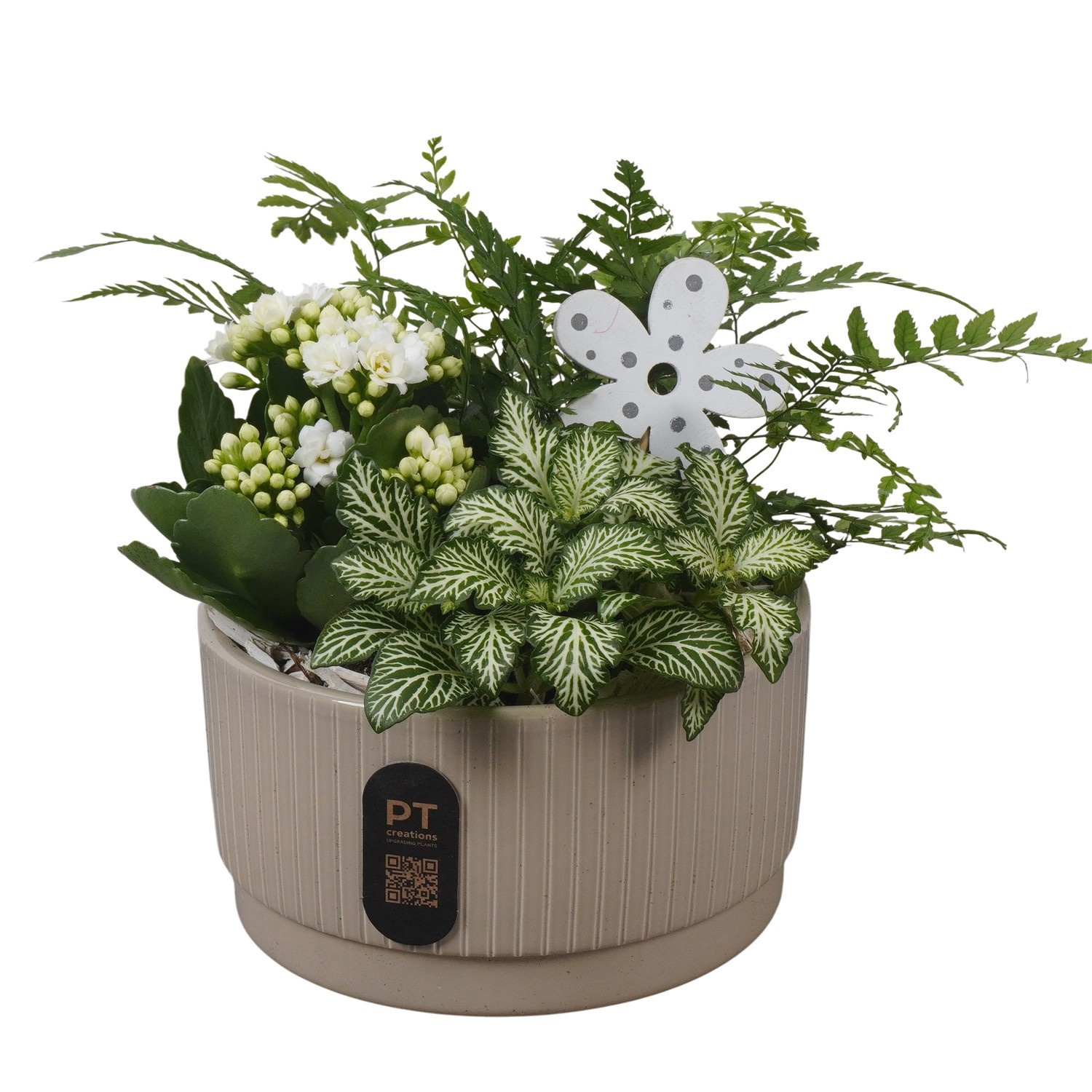 PTIB5105 Arrangement Indoor in keramiek schaal, D 16