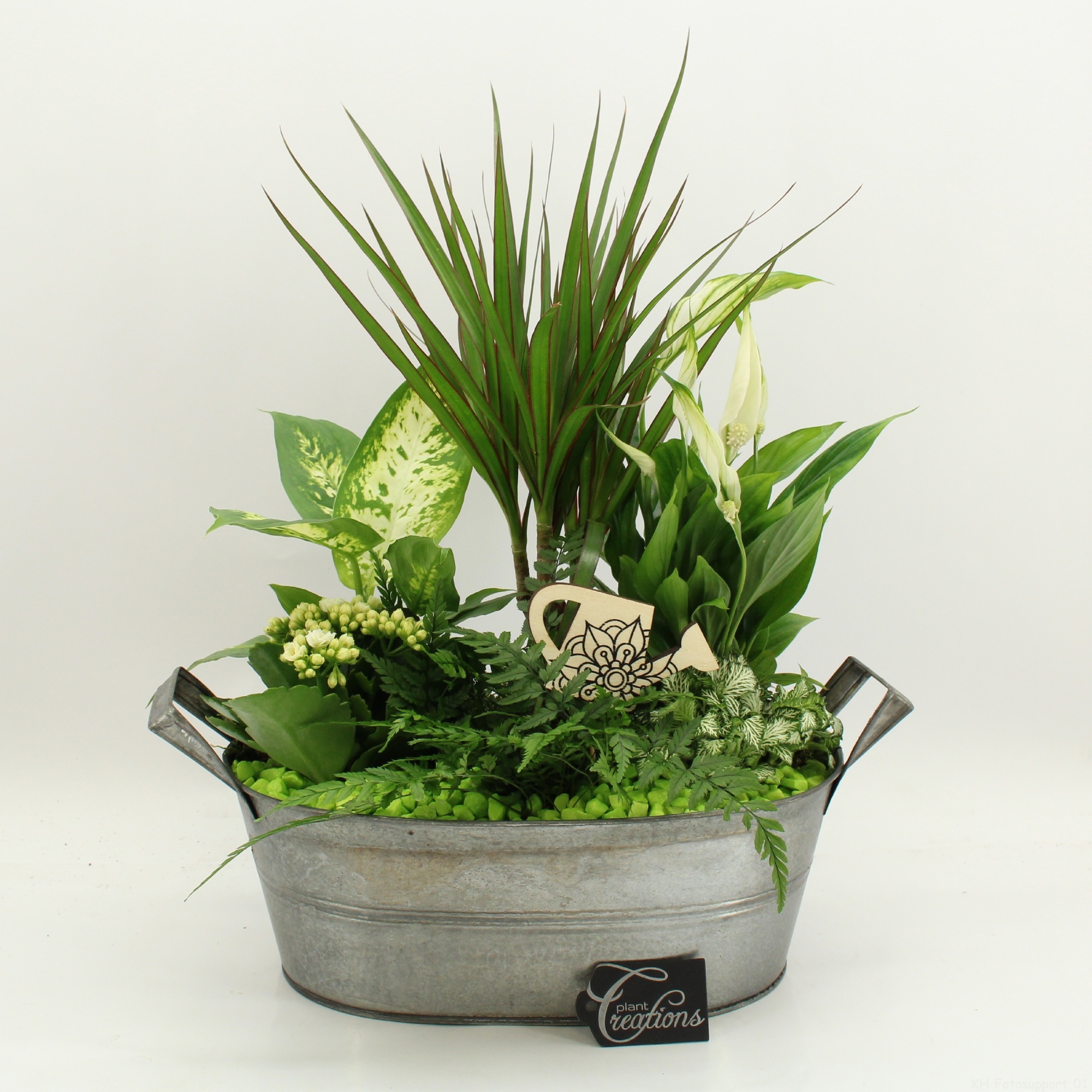 FDCR-2616GR Basic Fundamentals, D 32