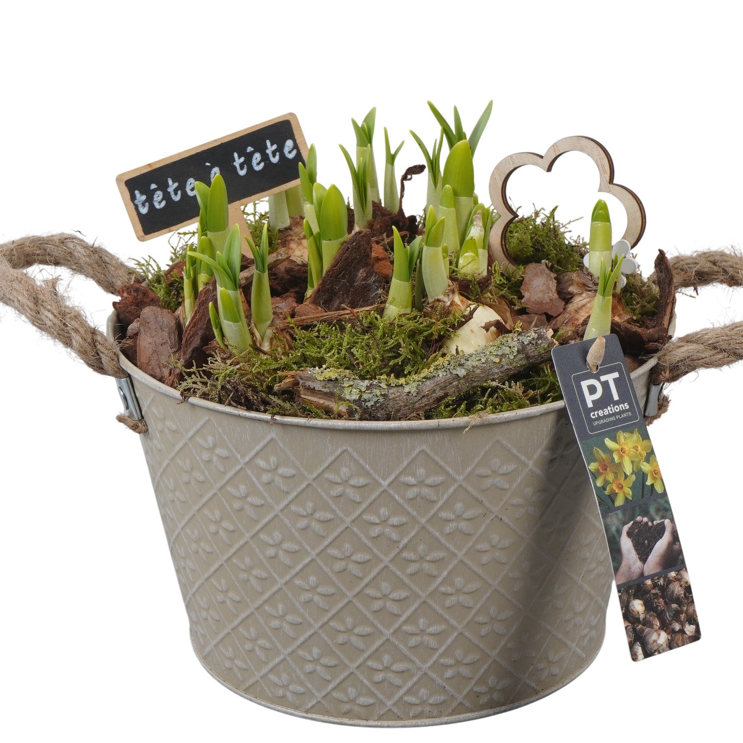 PTN8562 Arrangement Narcissus in zink pot, D 21