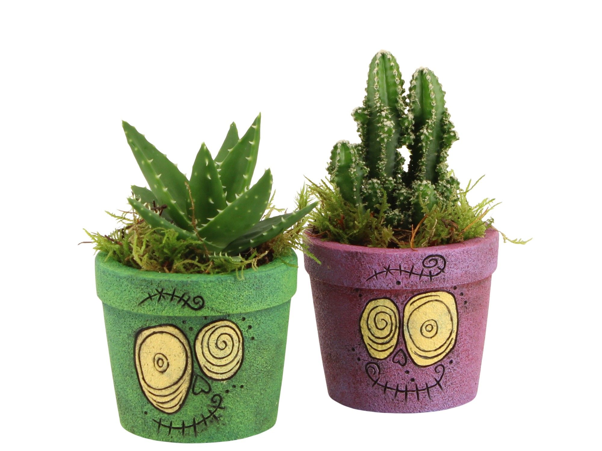 83287: Halloween arrangement, D 9 cm 83287: Halloween arrangement, D 9 cm