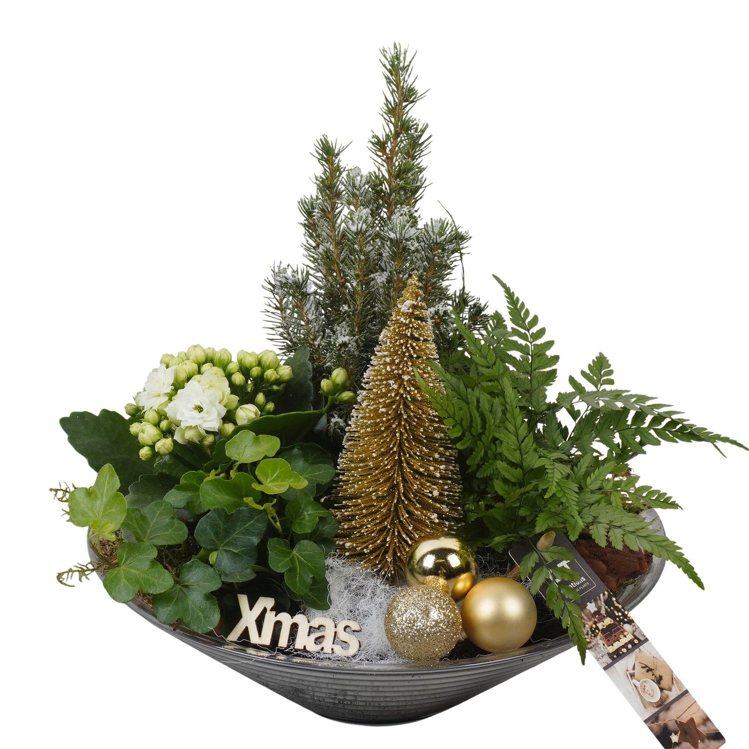 PTCHG5719 Arrangement Christmas Gold in glas schaal, D 26 cm