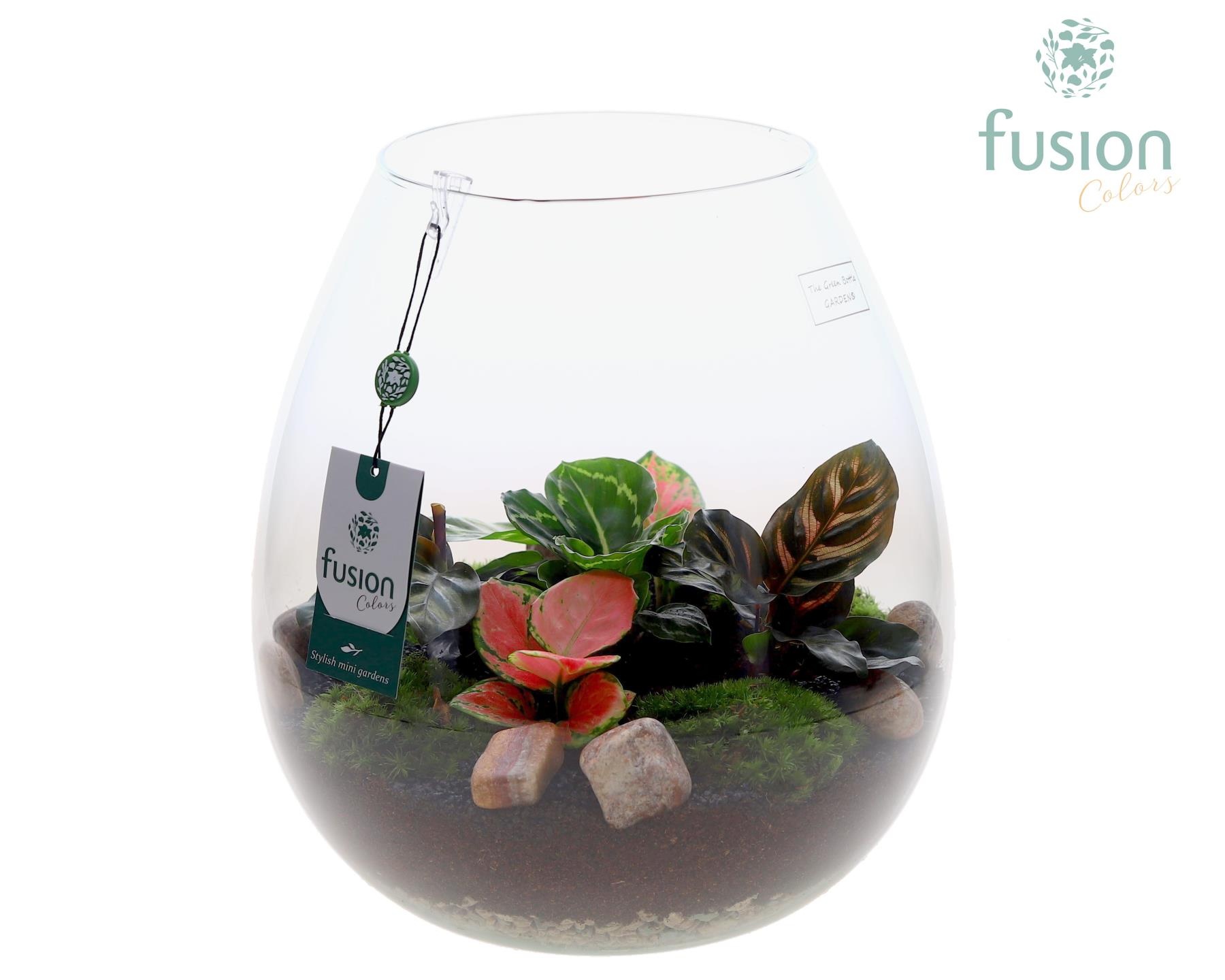 Green Bottle Abby XLarge met groene planten, D 29