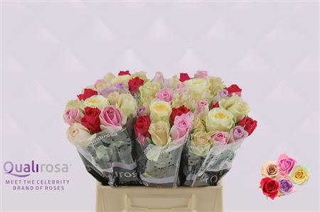 Роза од. Микс в пачке 40, шт. Роза од. Микс в пачке 40, шт.