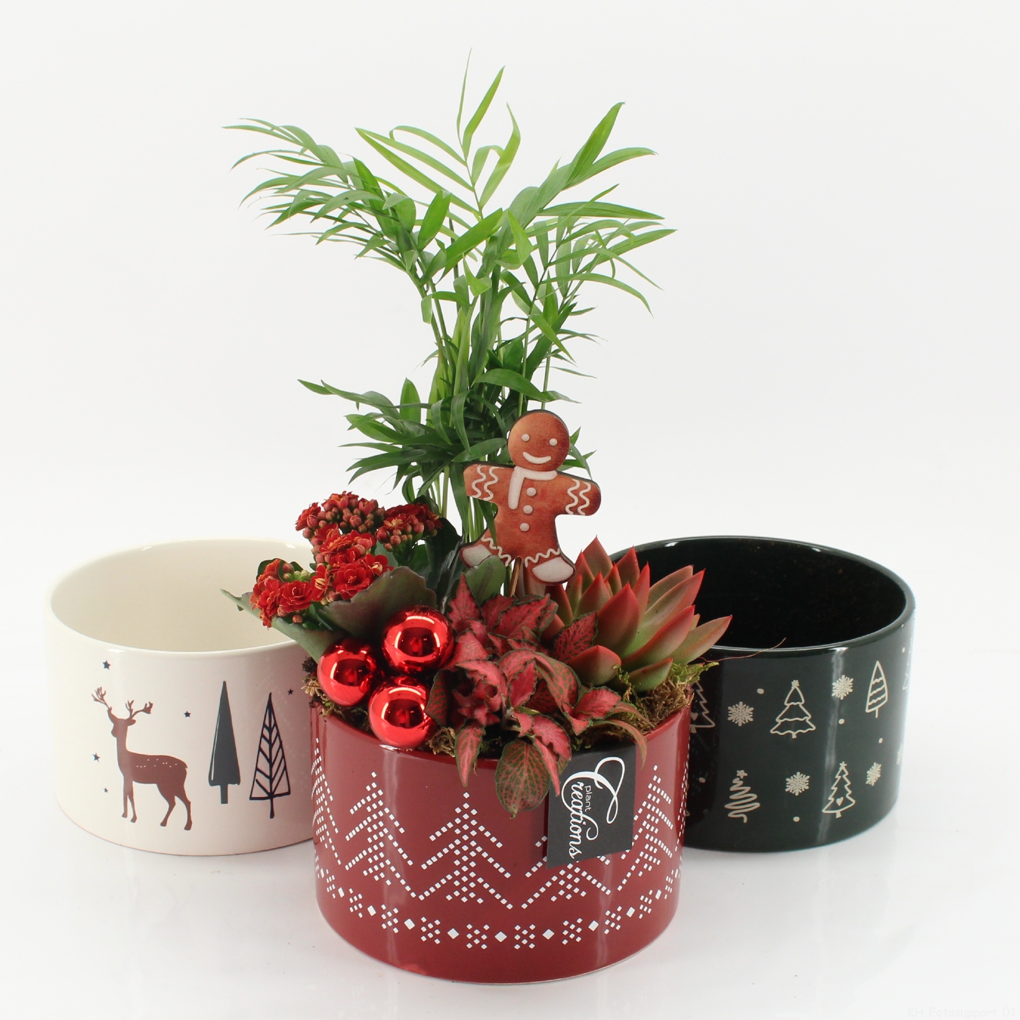 XMAS-25023MA Kerst creatie, D 17 cm XMAS-25023MA Kerst creatie, D 17 cm