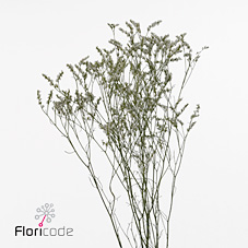 Лимониум Клеа Даймонд 60, шт.