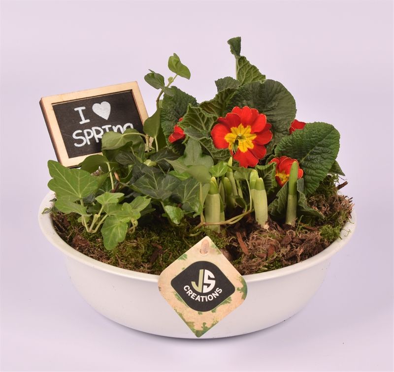 Zink schaal wit 22cm, D 22 cm