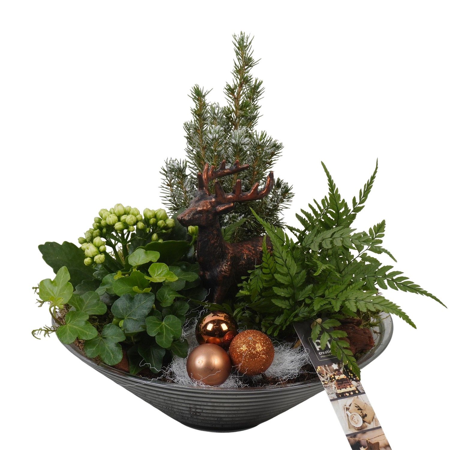 PTCHB9840 Arrangement Christmas Bronze in glas schaal, D 26 cm
