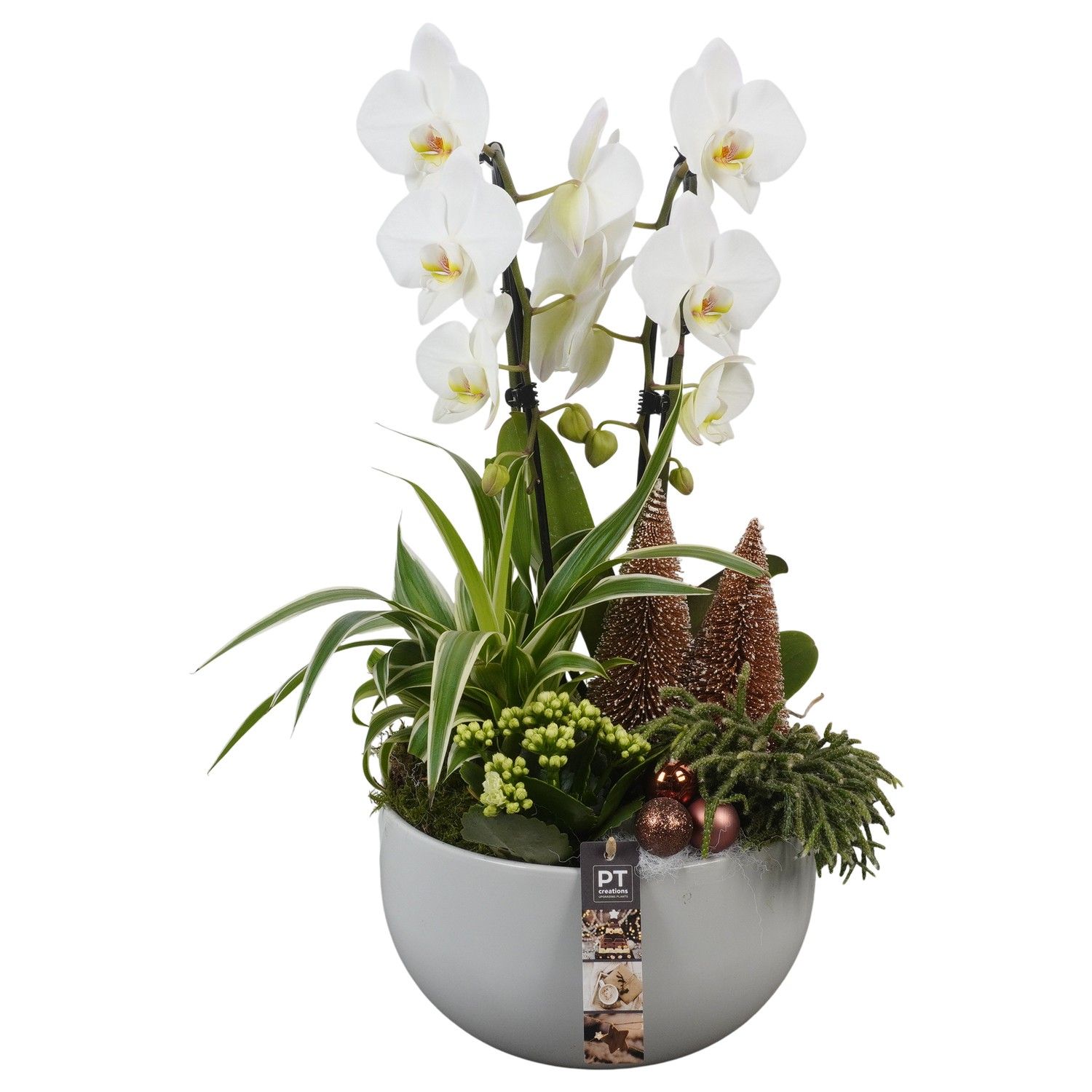 PTCHB9756 Arrangement Christmas Bronze in keramiek schaal, D 26 cm