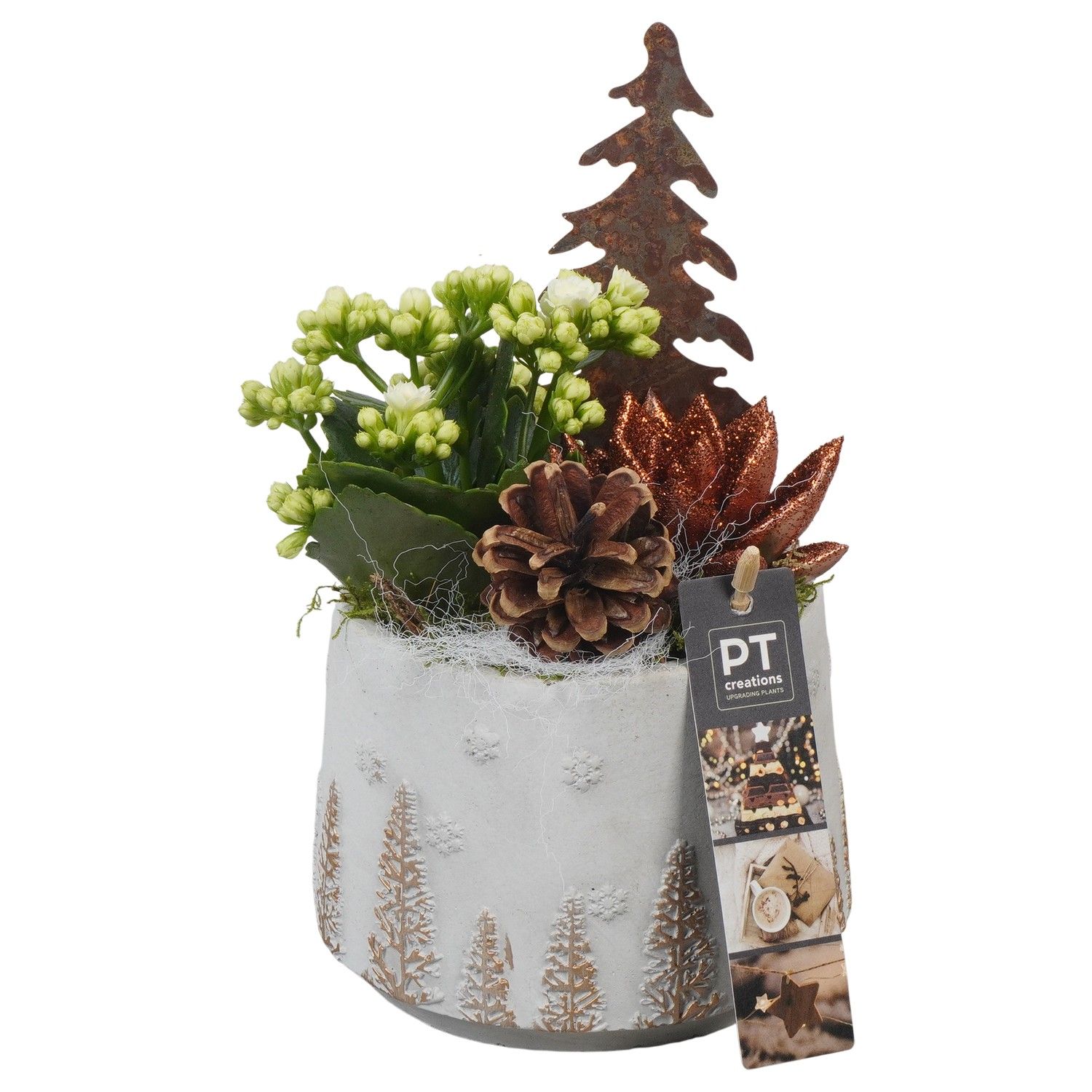 PTCHB9770 Arrangement Christmas Bronze in beton pot, D 13 cm