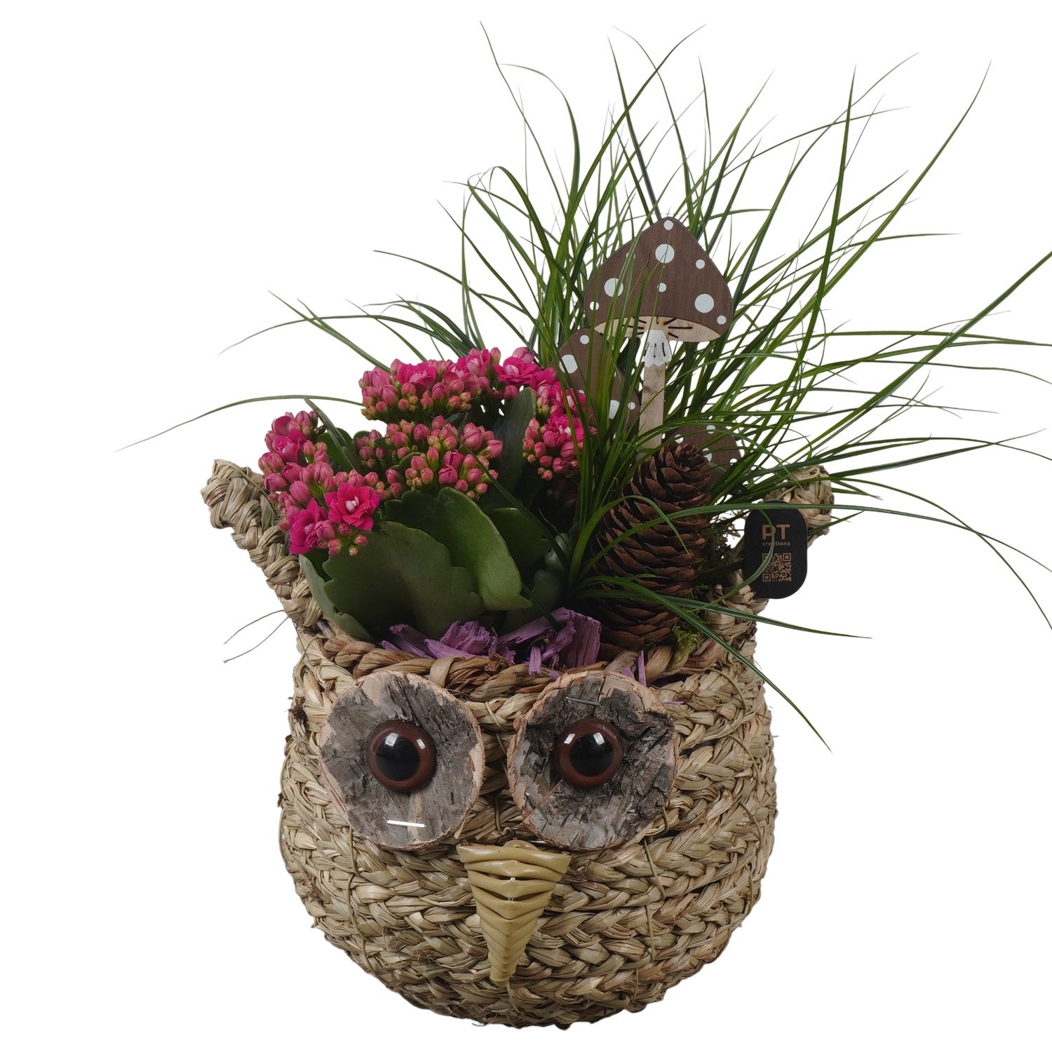 PTHI3307 Arrangement Autumn Indoor in rieten mand in uil vorm, D 16