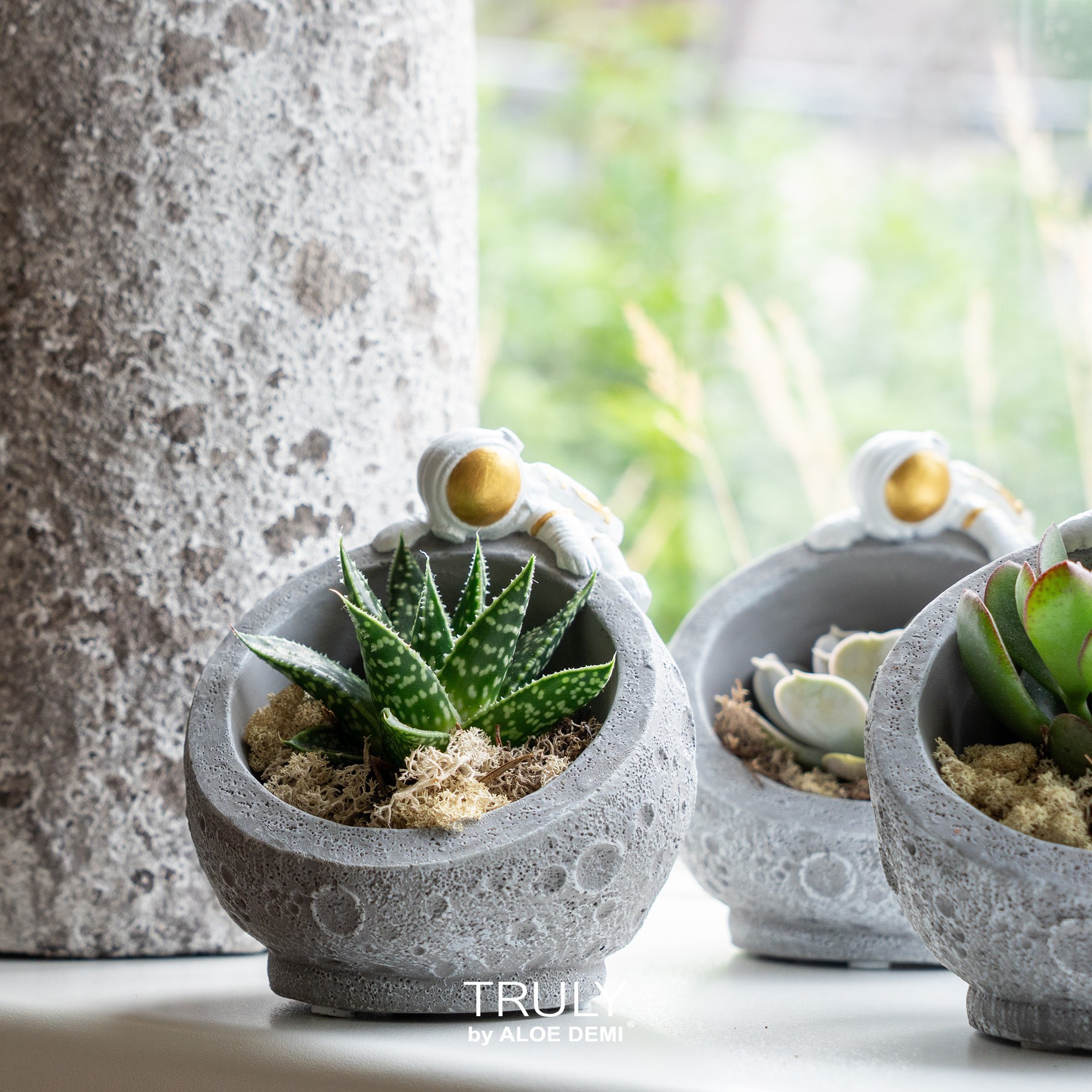 TRULY Succulent mix, Martian, D 12