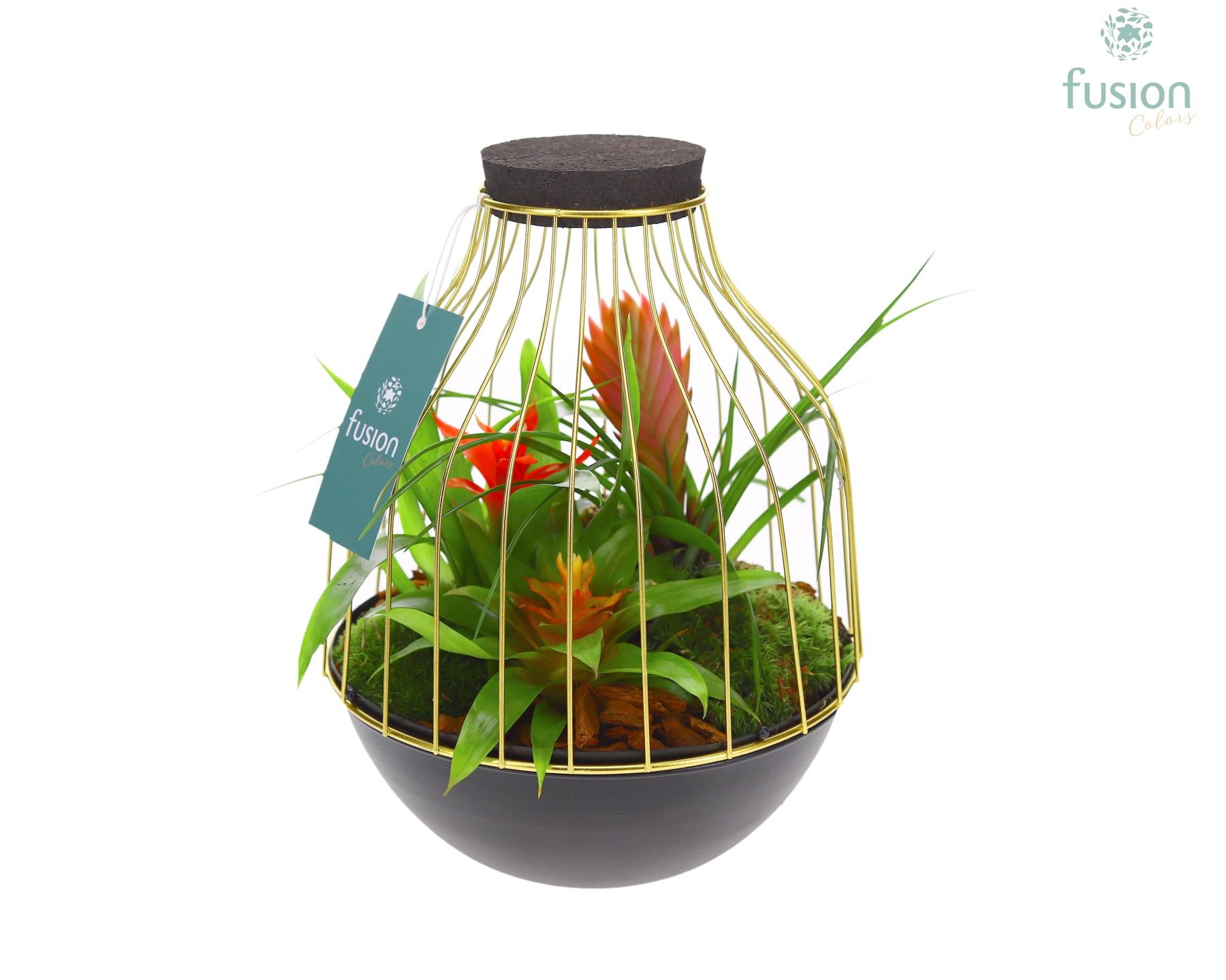 Vogelkooi metaal goudzwart Medium met Bromelia, D 19