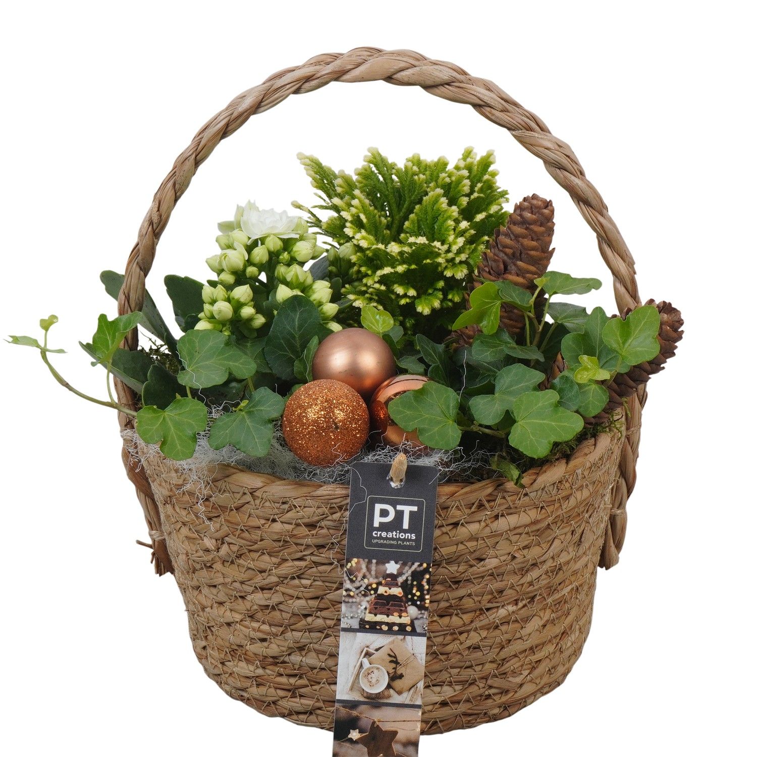PTCHB9799 Arrangement Christmas Bronze in rieten mand, D 18 cm