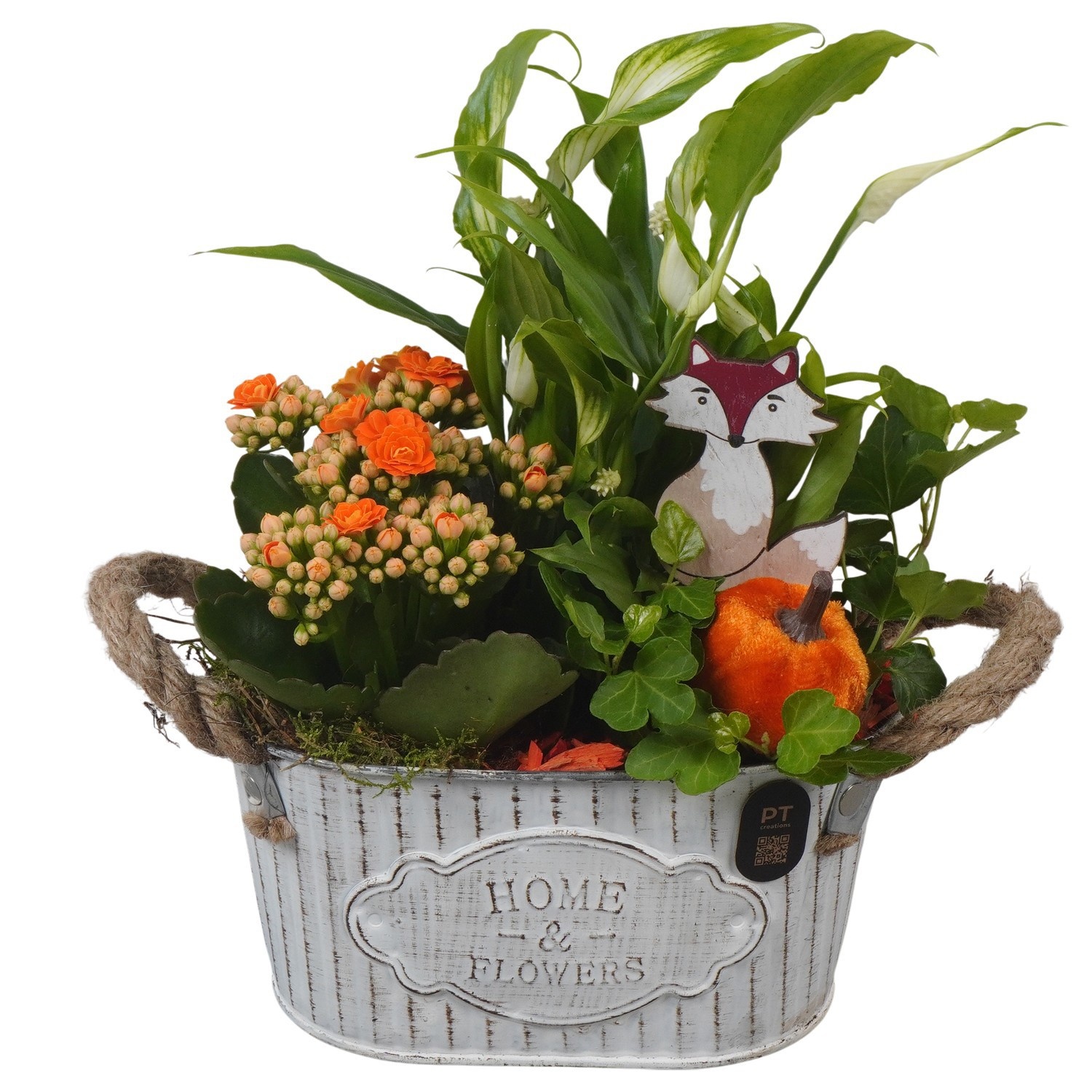 PTHI3402 Arrangement Autumn Indoor in metalen pot ovaal, D 19