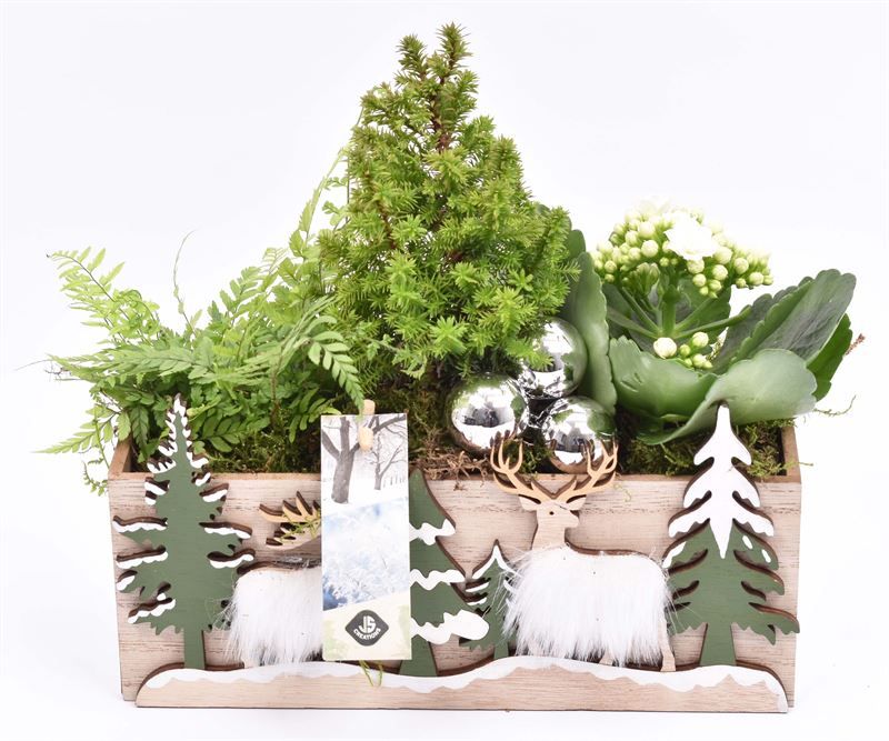 Hout rechthoek met decor 24x10cm, D 24 cm Hout rechthoek met decor 24x10cm, D 24 cm