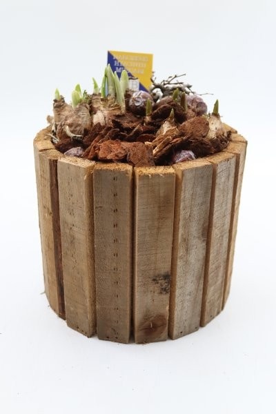 Bollen, houten ton hoog, D 18