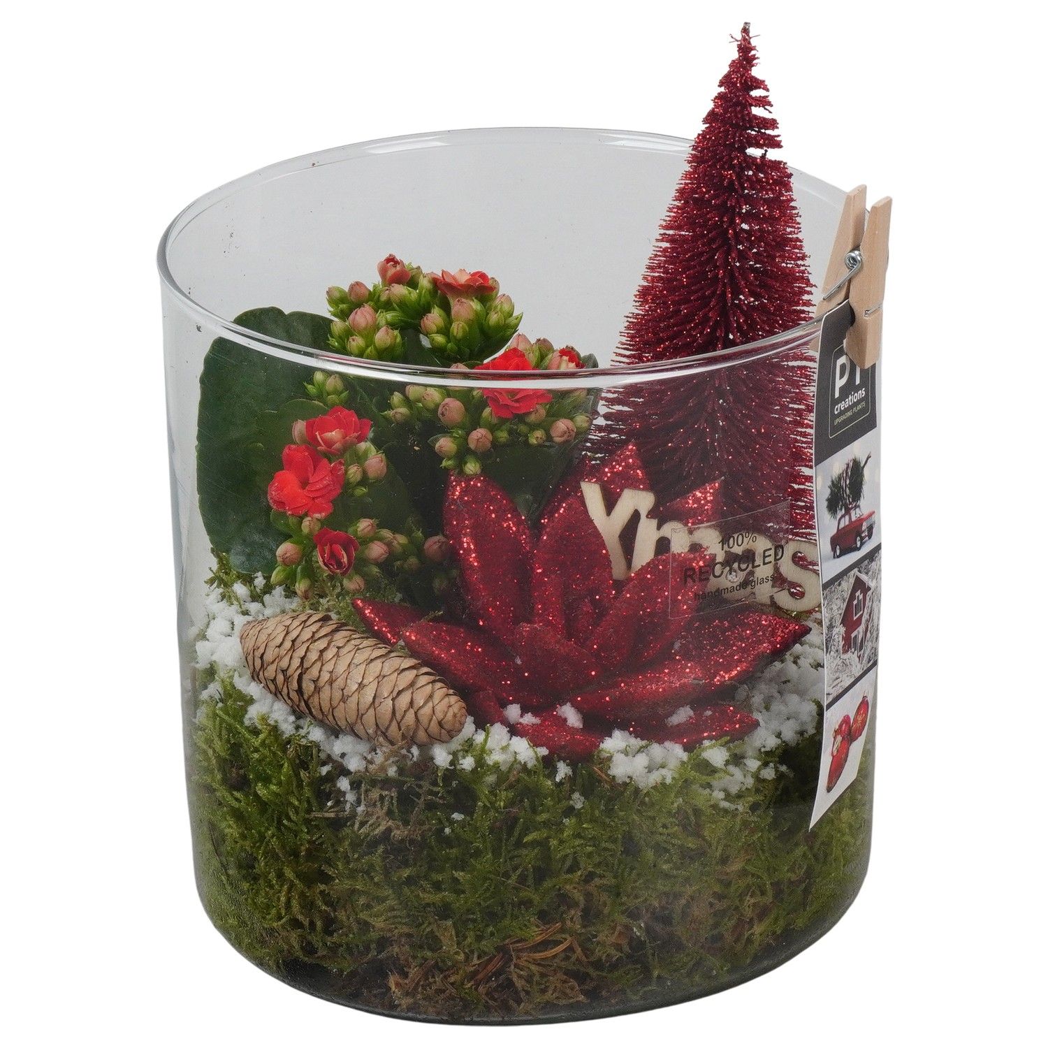 PTCHR7466 Arrangement Christmas Red in glazen pot, D 15 cm