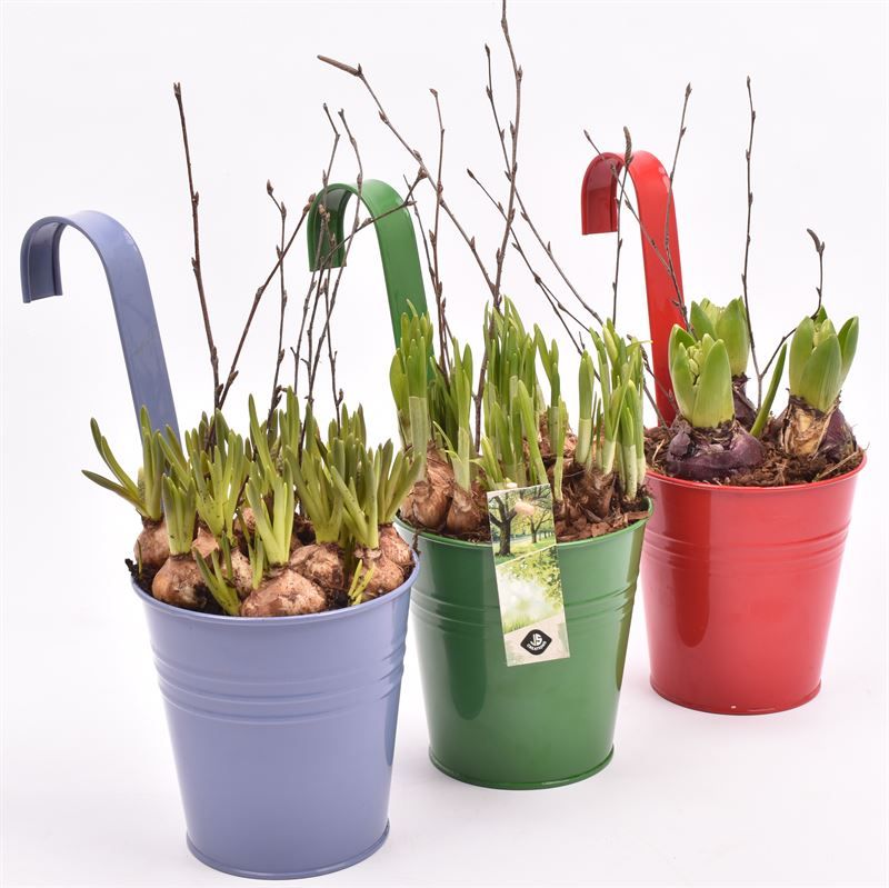 Zink balkon hanger 3kl mix 13cm, D 13