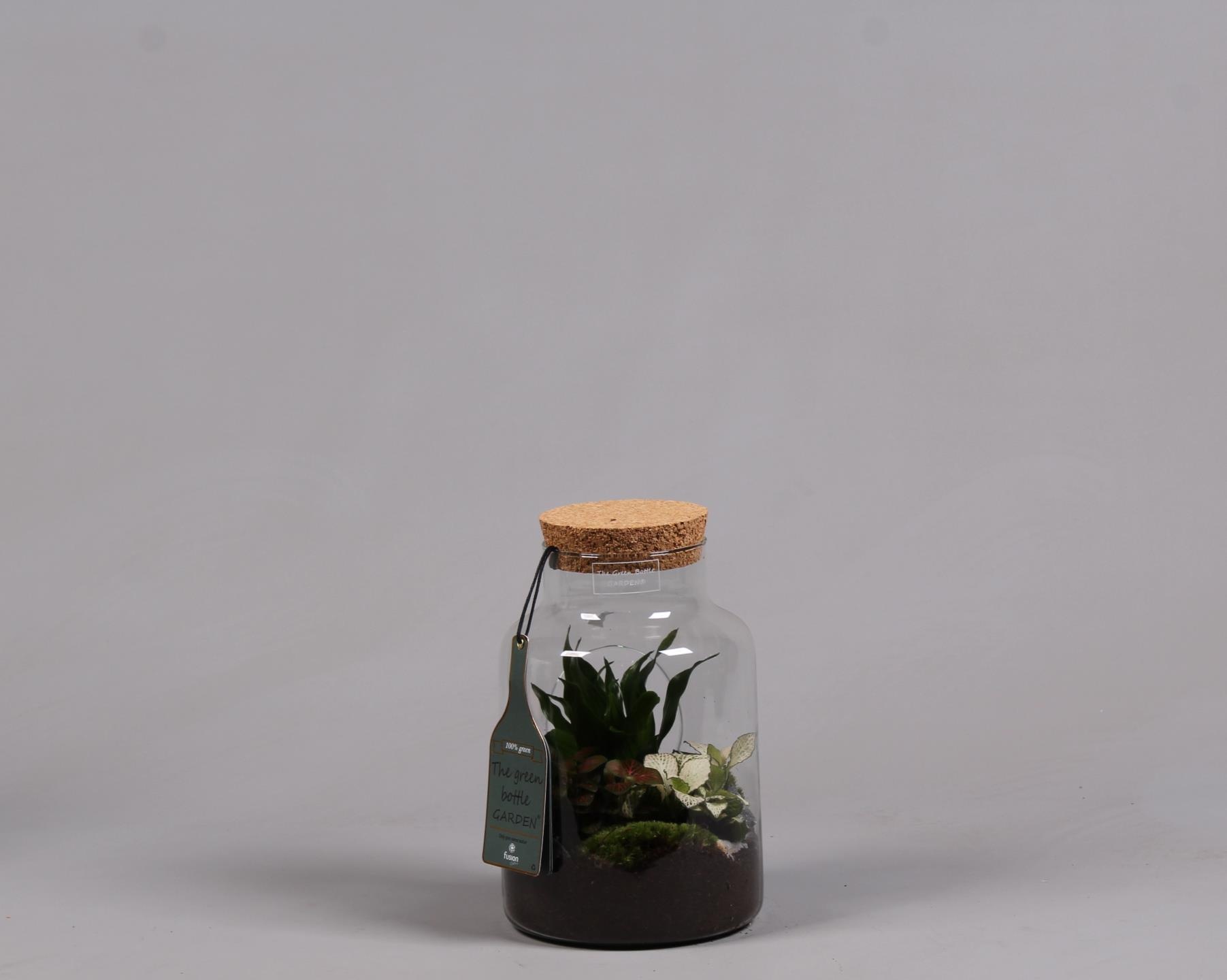 Green Bottle met Arrangement., D 19