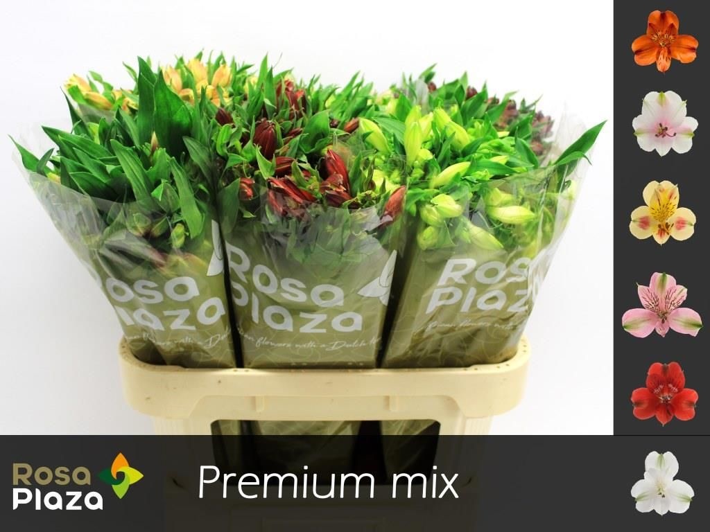 Альстромерия Микс, шт.