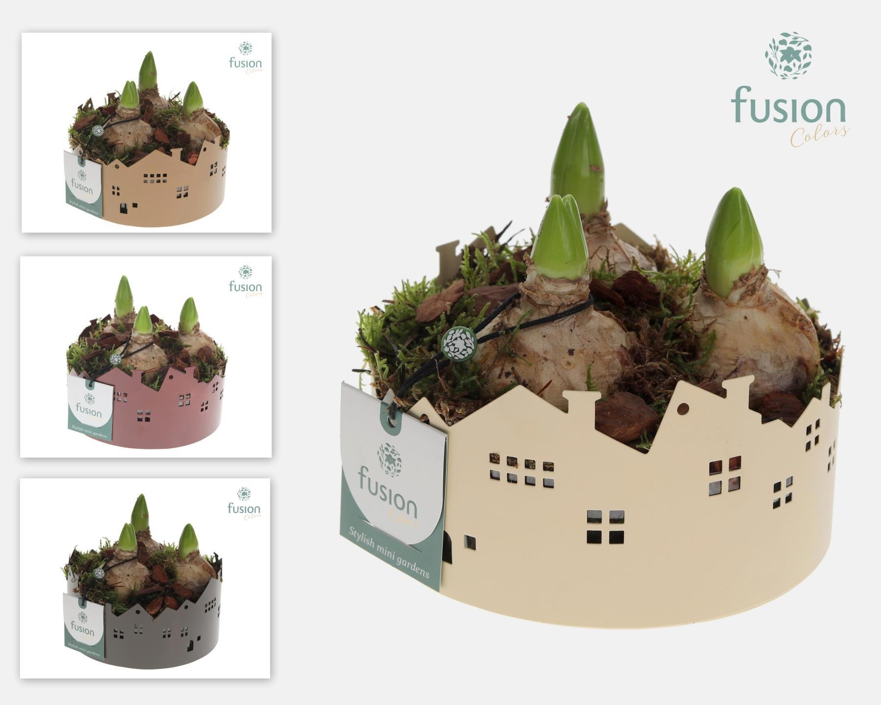 Zinken schaal Huisjes SmallHyacinthus, D 15 cm