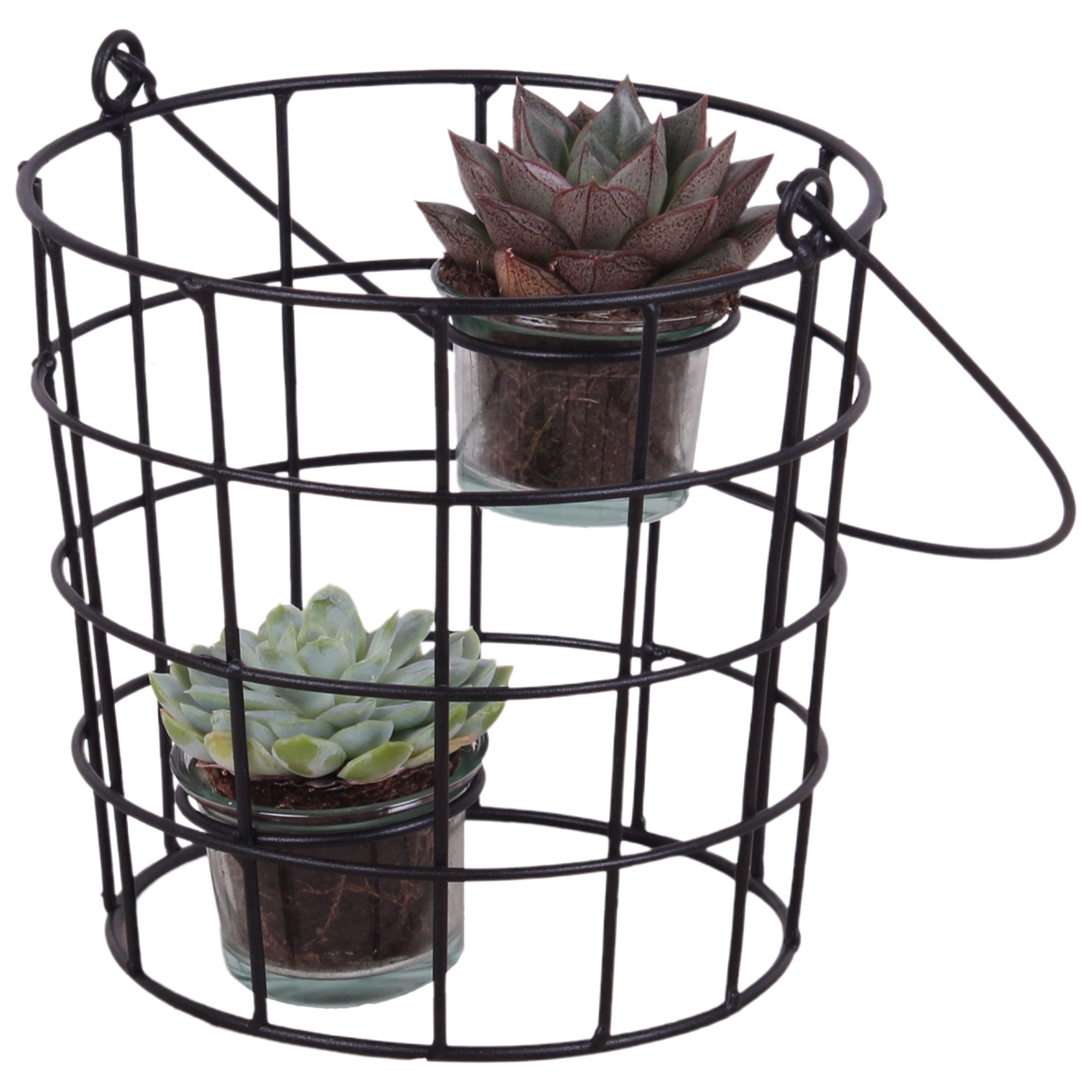 Succulent Metal Wirebasket with Glass 18 cm 2PP, D 17