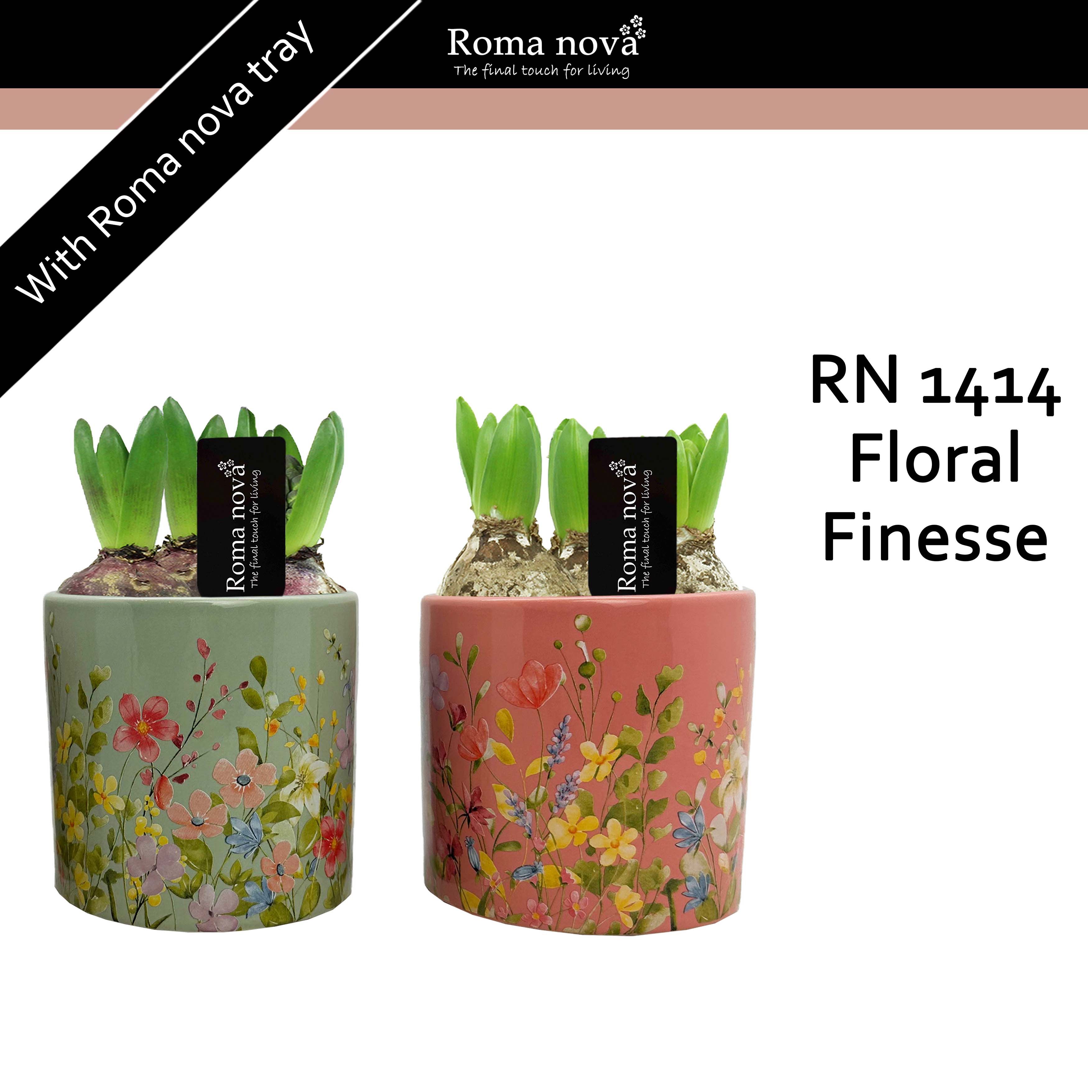 1414 - Floral Finesse (Hyacint), D 12 cm