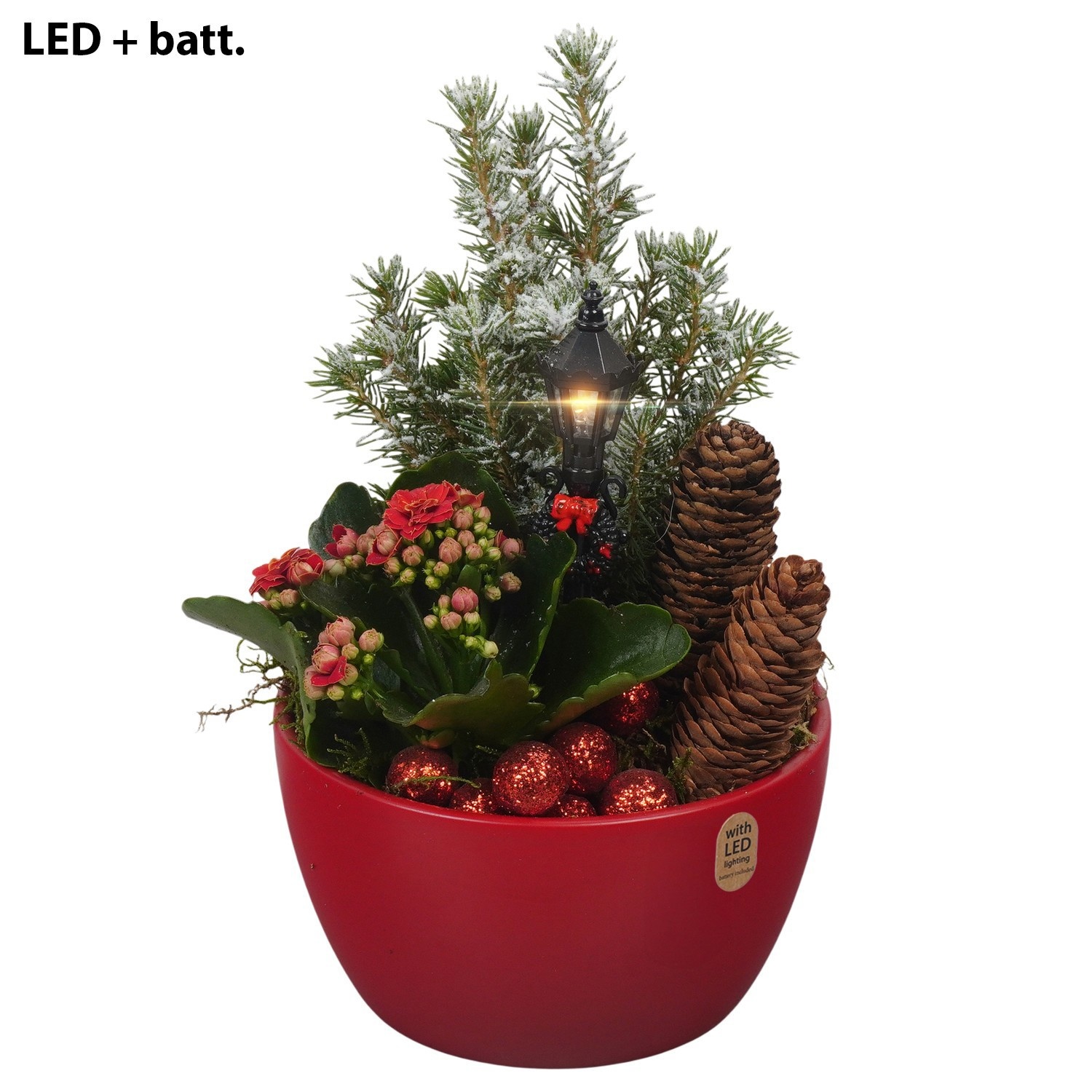 PTCHR9566 Arrangement Christmas Red in keramiek schaal met LED, D 14