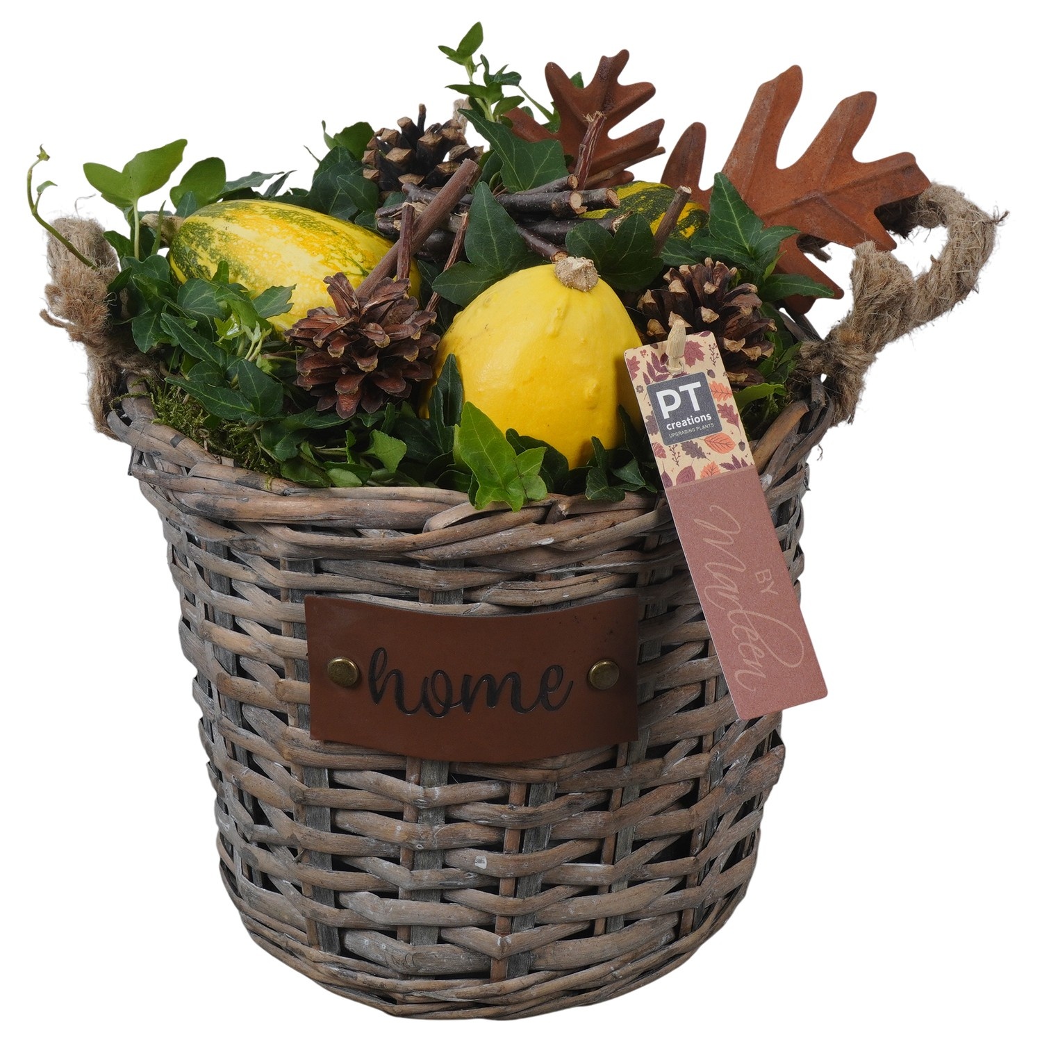 PTSF8233 Arrangement Kalebas hedera in rieten mand, D 23 cm