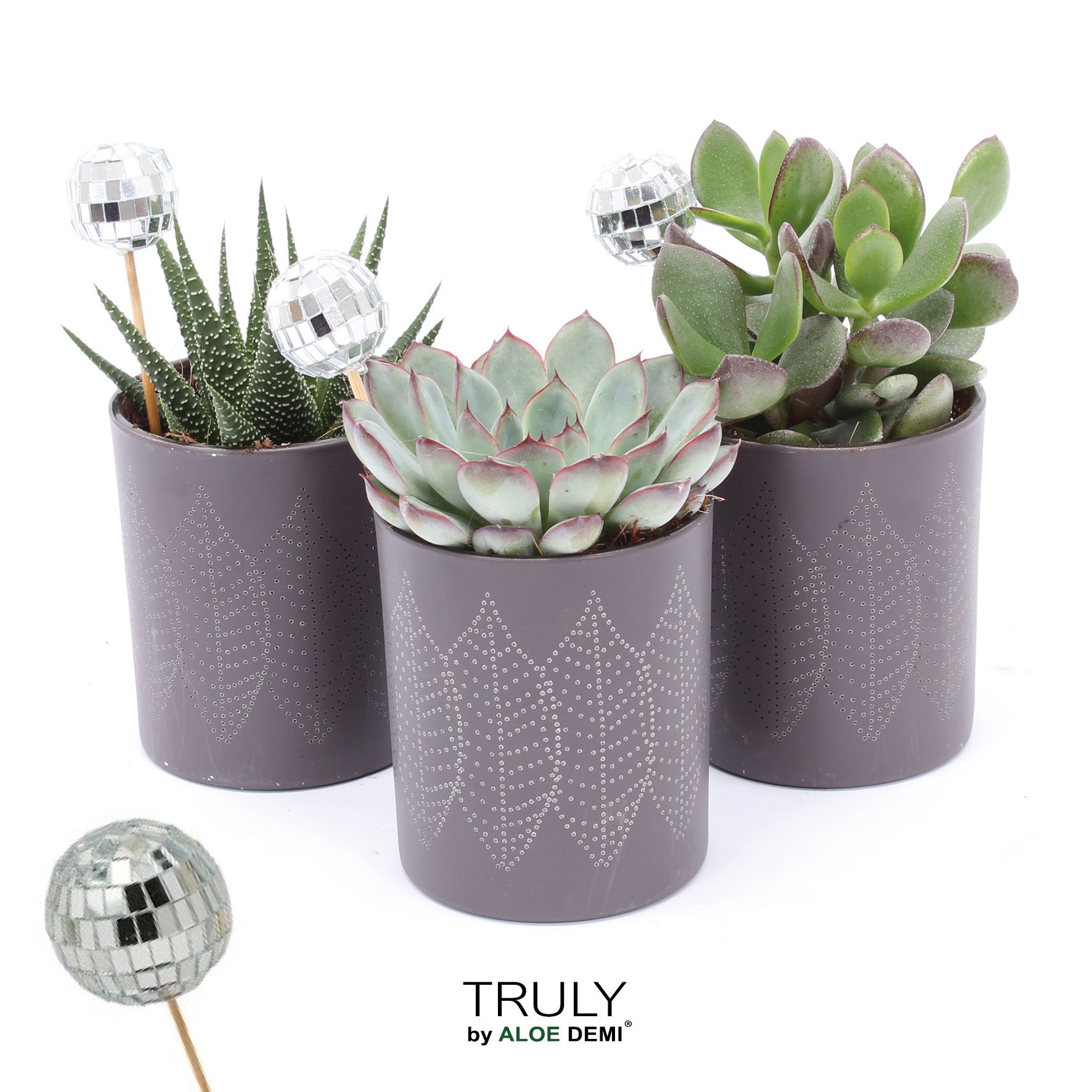 TRULY Succulent, Brown glass Disco, D 8 cm