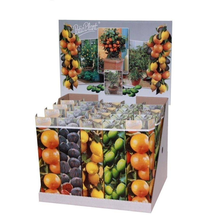 Mediterrane mix, D 9