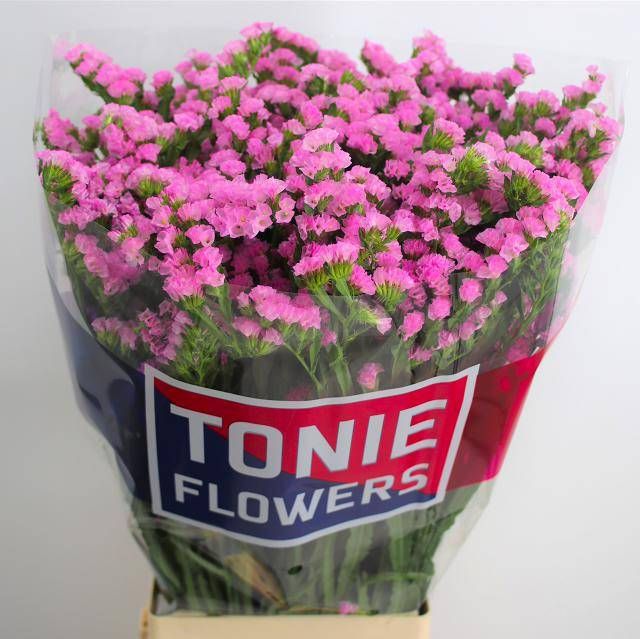 Статица Фантазия Вингз 80, шт.