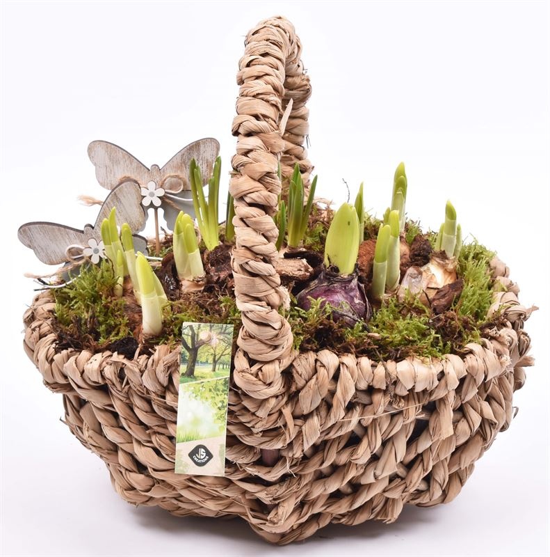 Touw hengselmand ovaal 27x22 cm, D 27