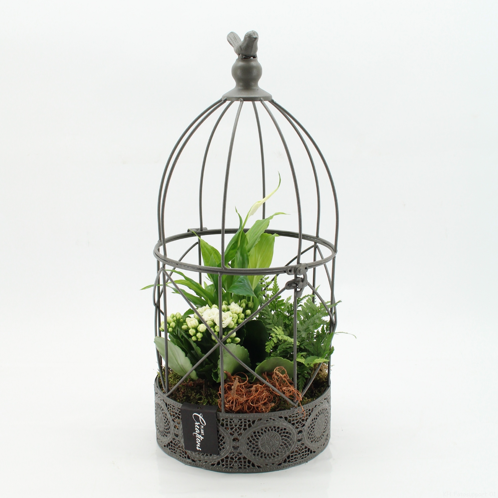 ESCR-2623W Essentials, D 21