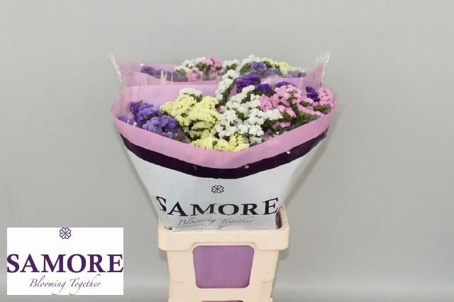 Статица Микс 70, шт.