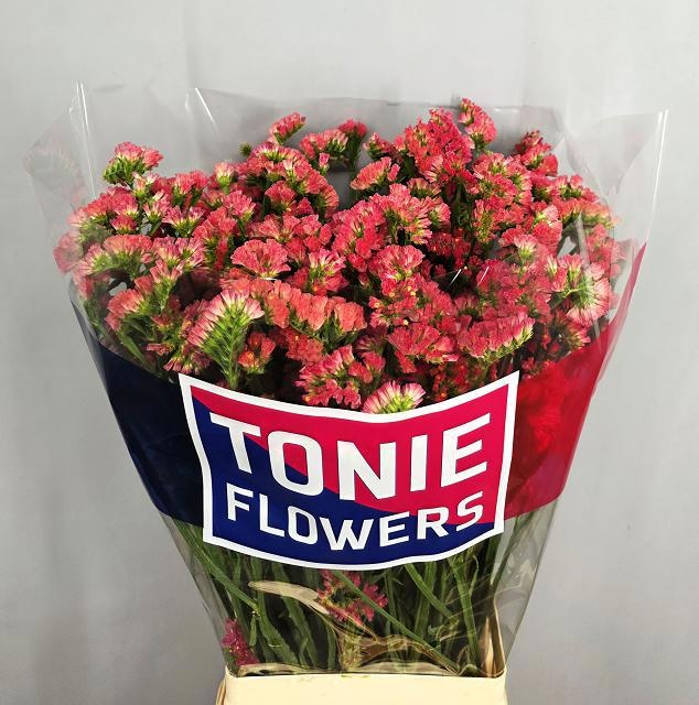 Статица Роял Оранж 80, шт.