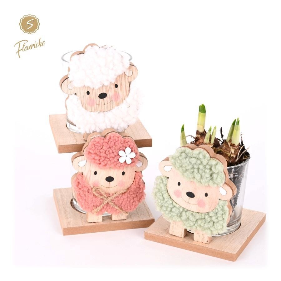 (1628) Narcissus Happy Sheep 1PP, D 15 cm