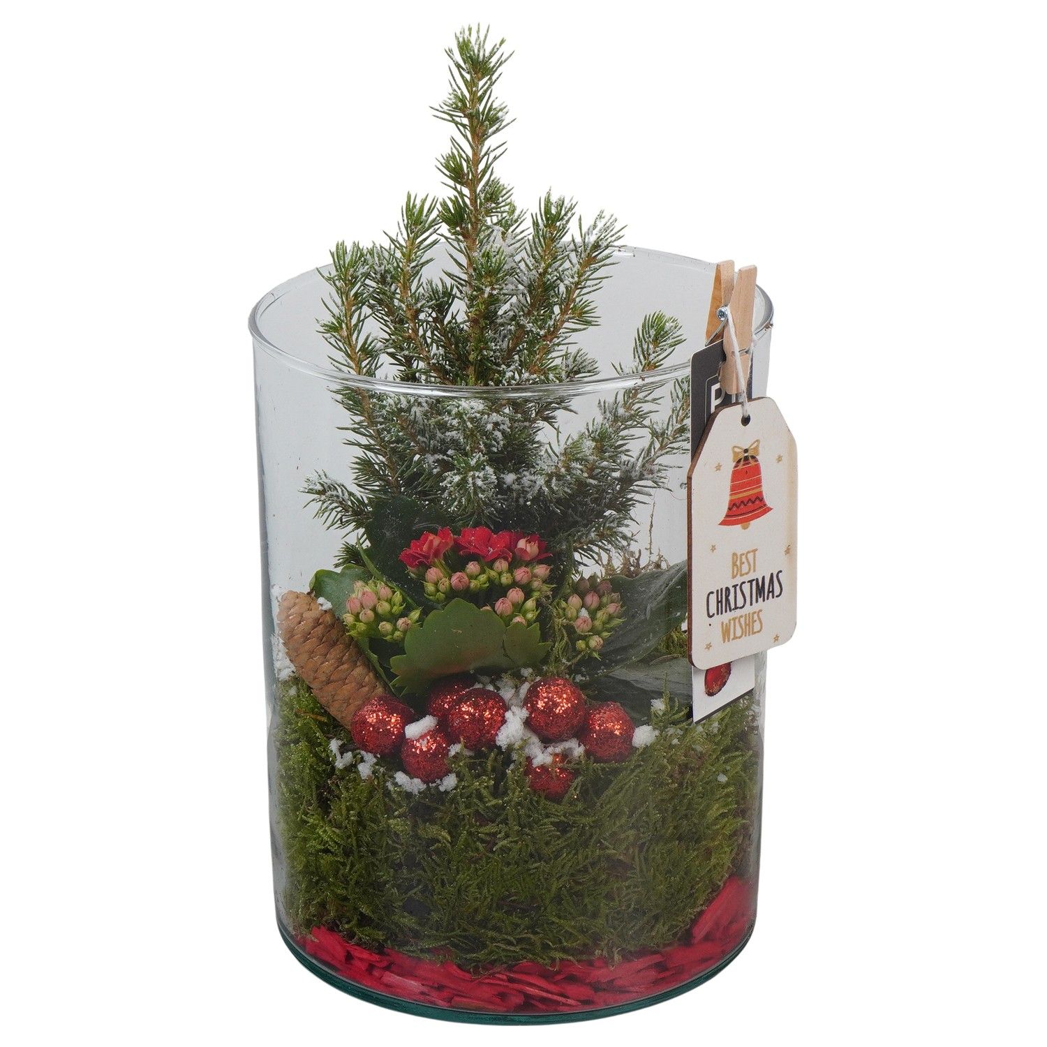 PTCHR7476 Arrangement Christmas Red in glazen pot, D 15 cm