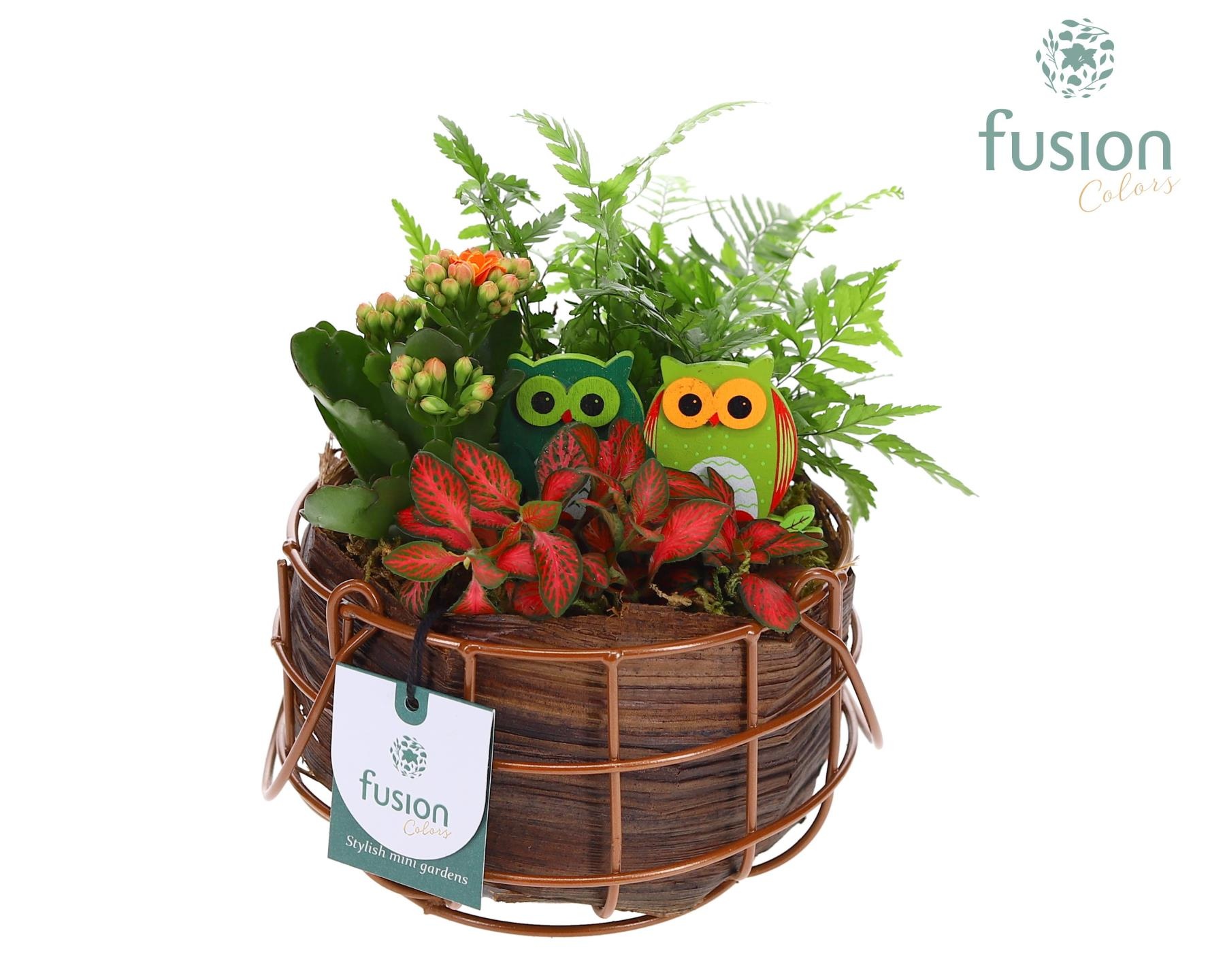 Mand metaal rond Small Herfst met Arrangement, D 16