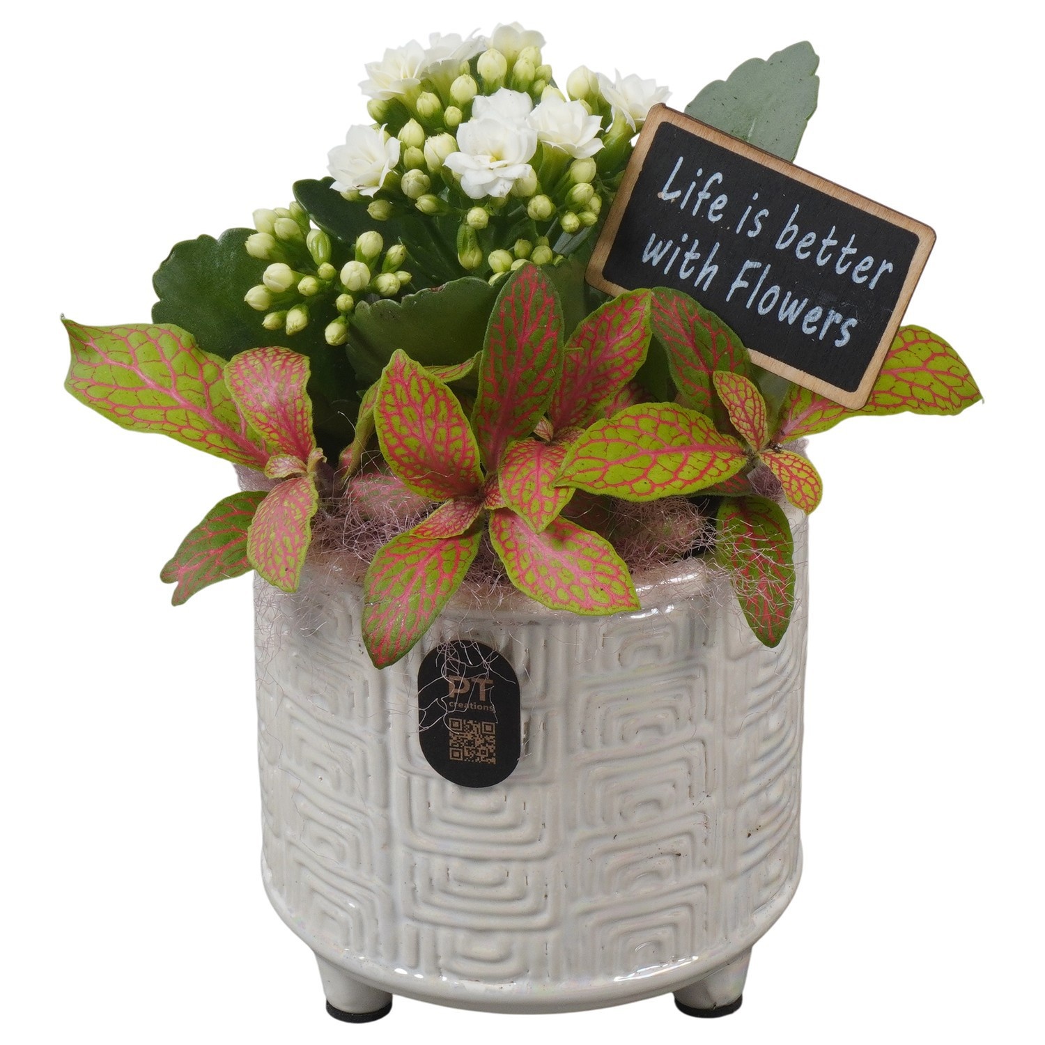 PTIB5188 Arrangement Indoor in keramiek pot, D 11